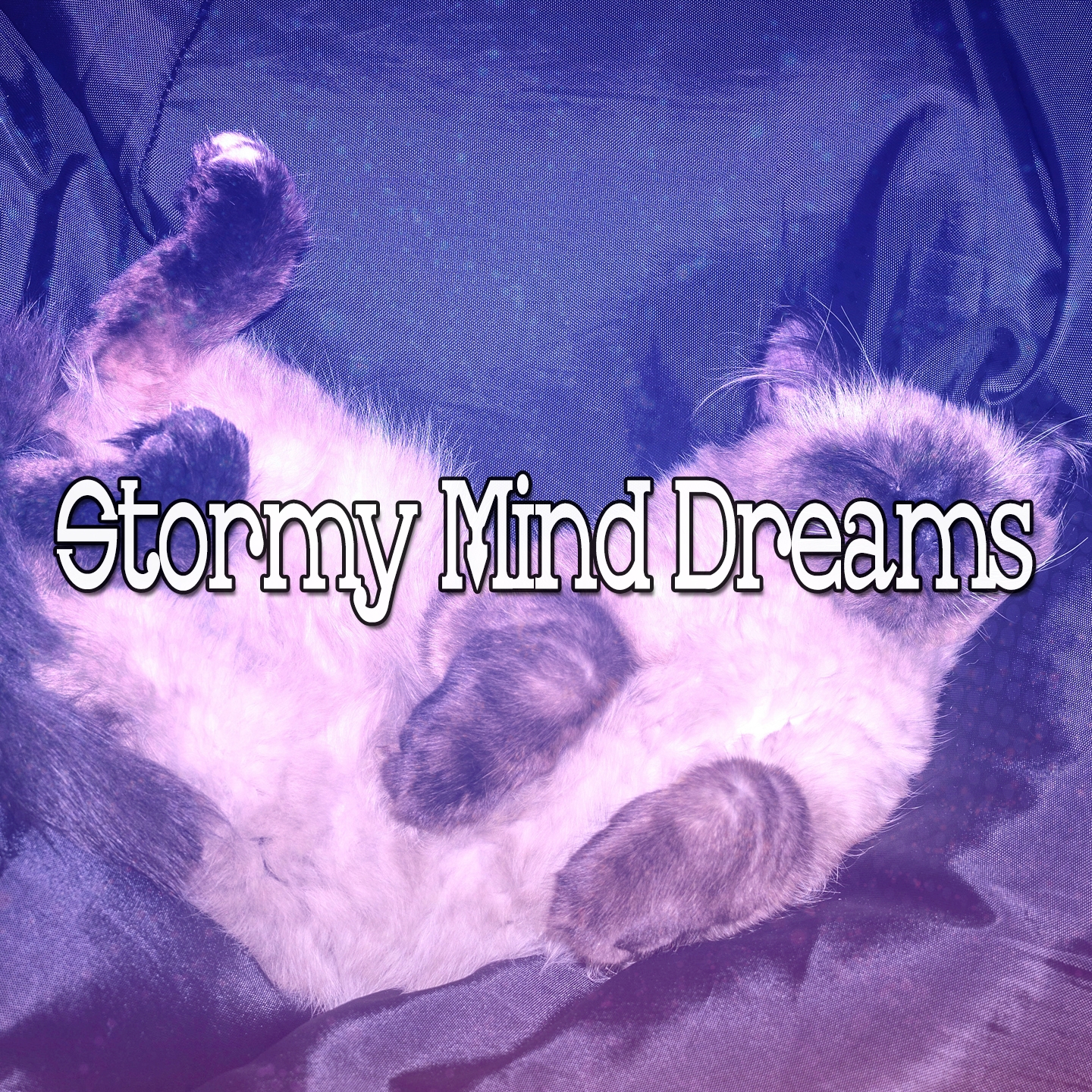 Stormy Mind Dreams