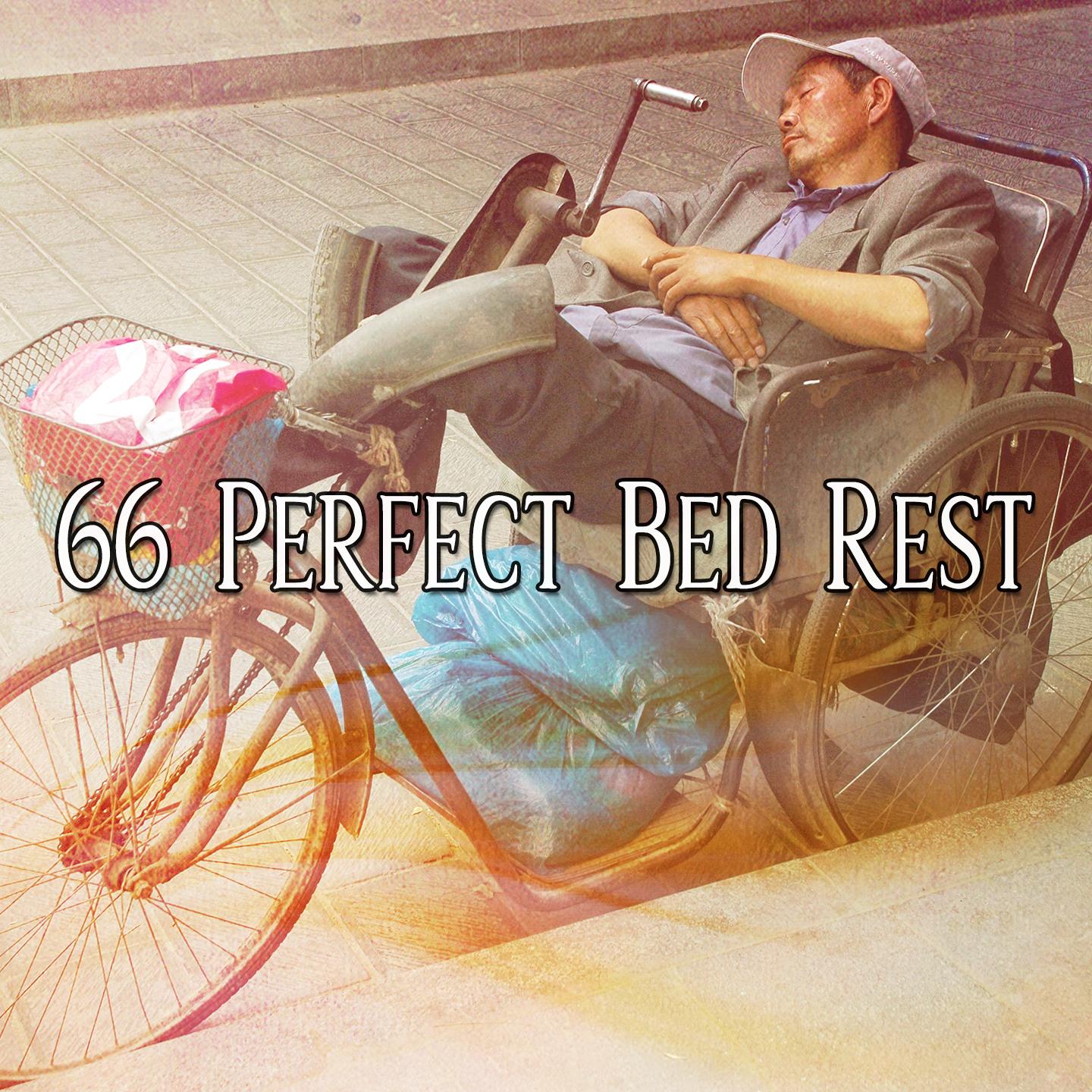 66 Perfect Bed Rest