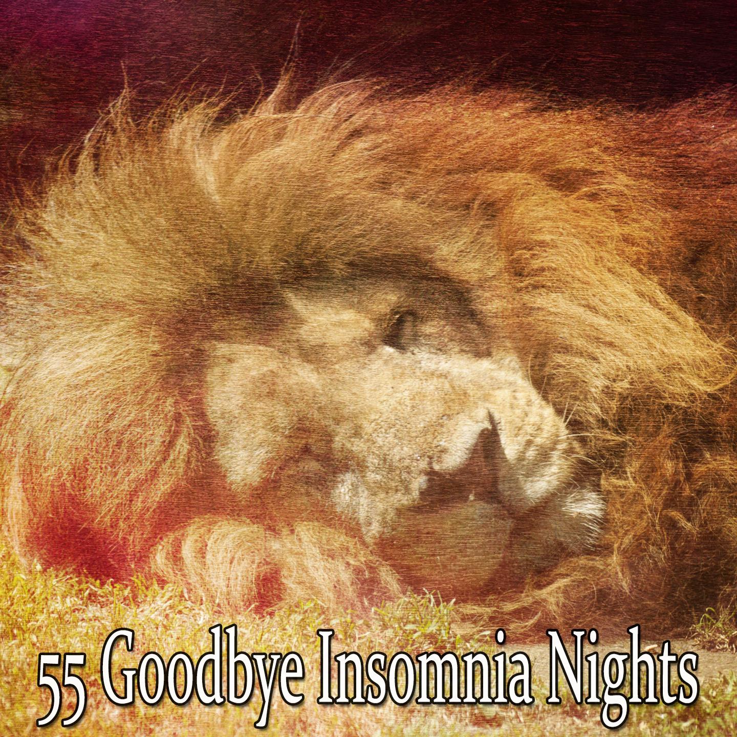 55 Goodbye Insomnia Nights