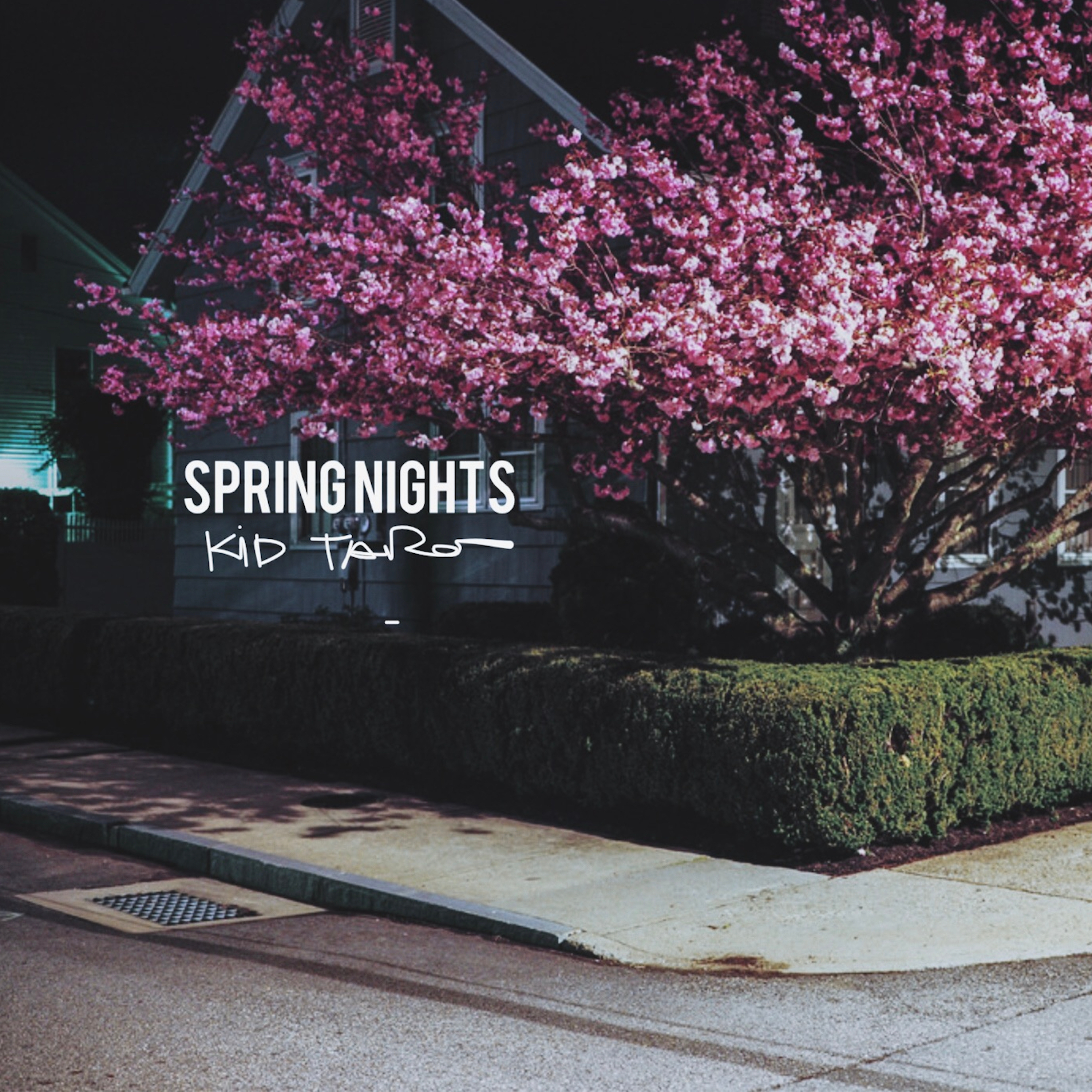 Detroit Spring Nights