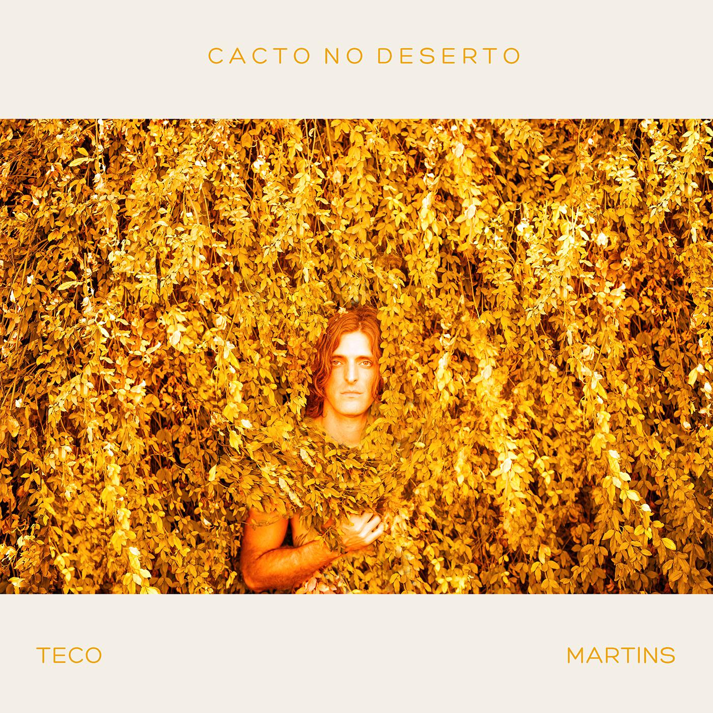 Cacto no Deserto