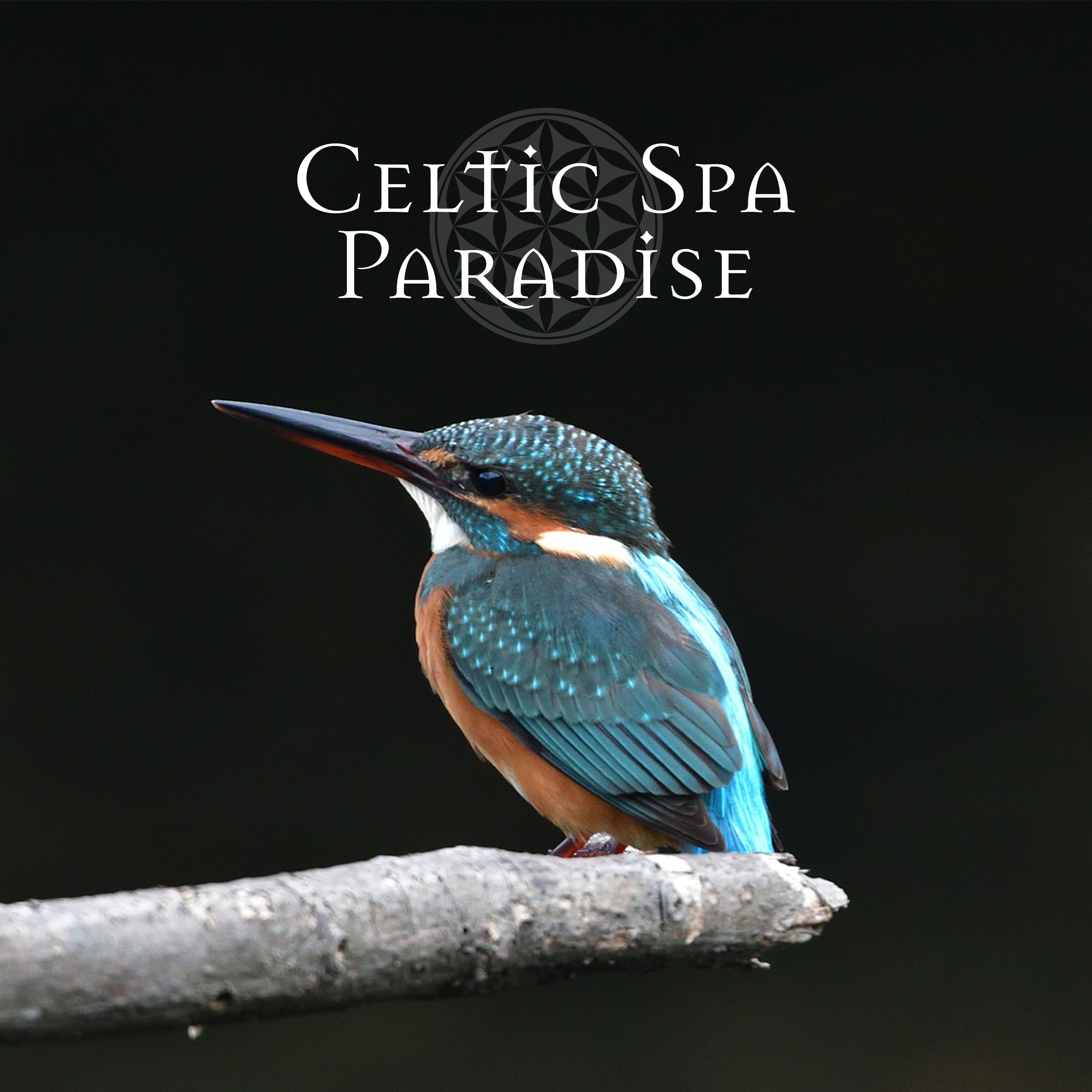Celtic Spa Paradise - Relaxing Irish Nature Sounds, Singing Birds, Celtic Massage Music, Healing Water Sounds