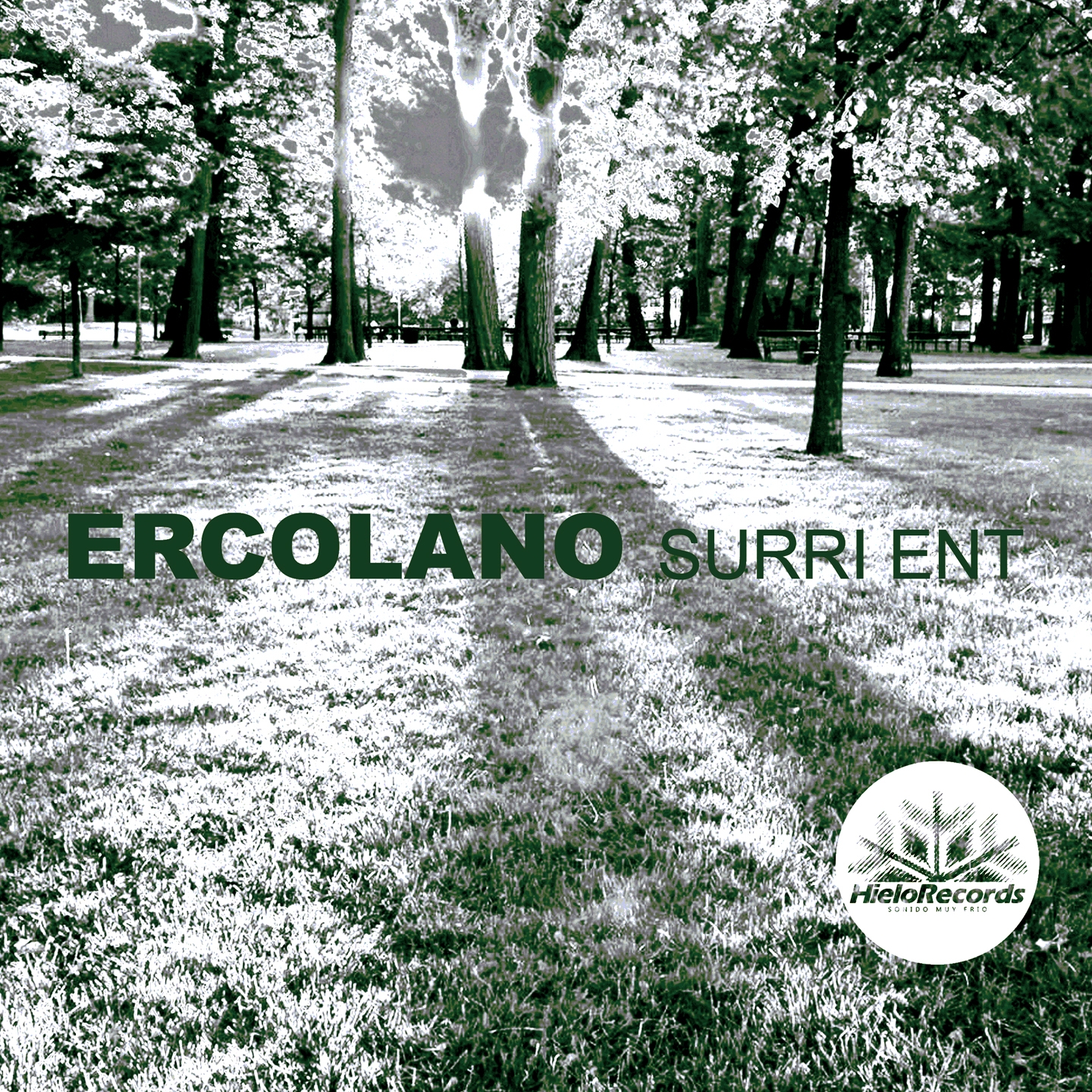 Surri Ent (Radio Mix)