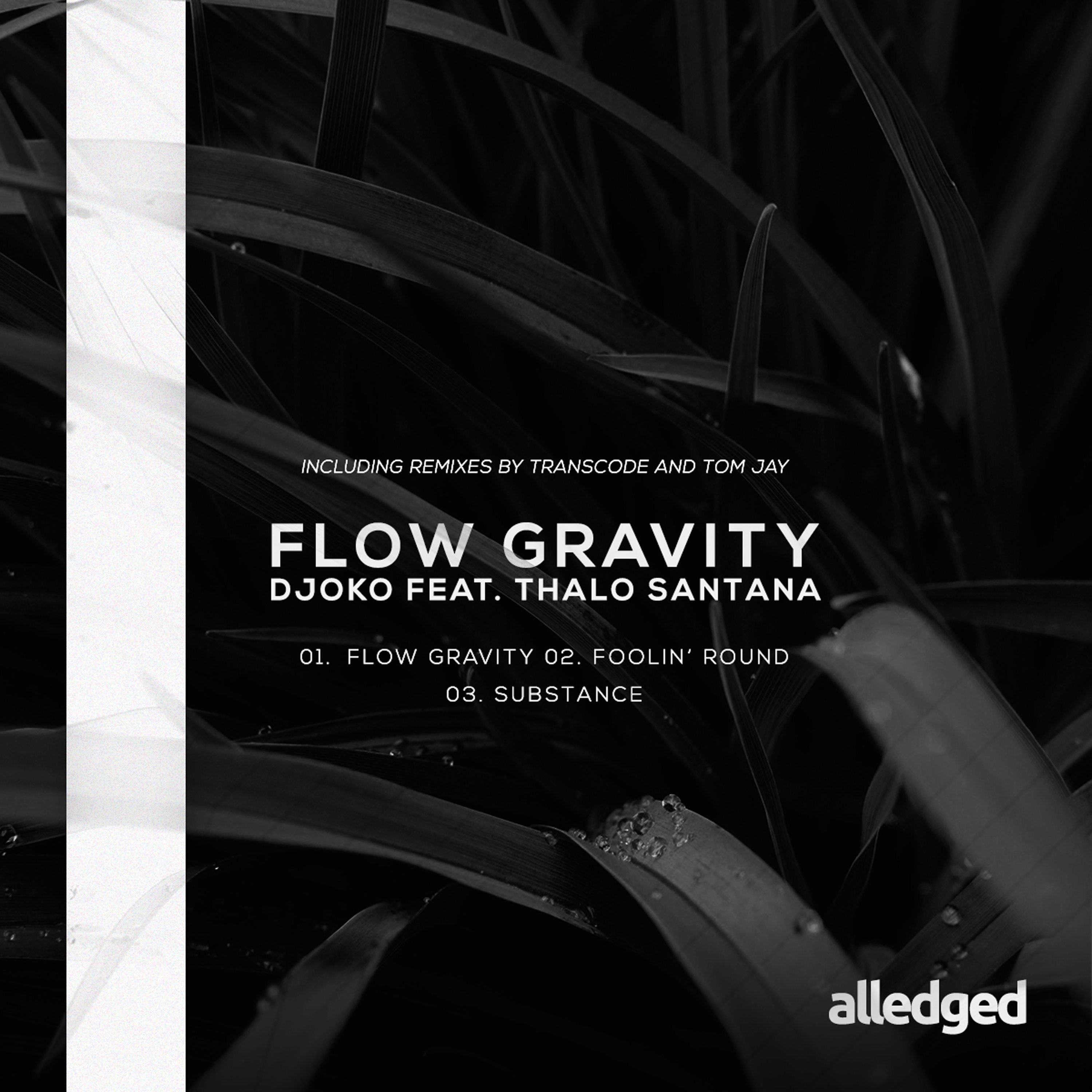 Flow Gravity (Transcode Remix) [Feat. Thalo Santana]