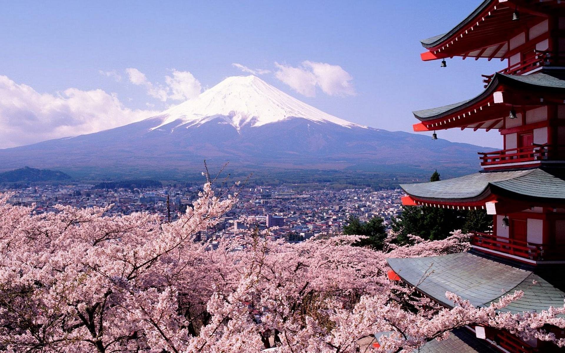 Under the Fuji mountain