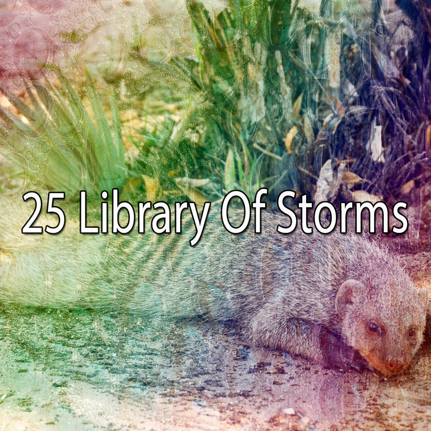 25 Library Of Storms