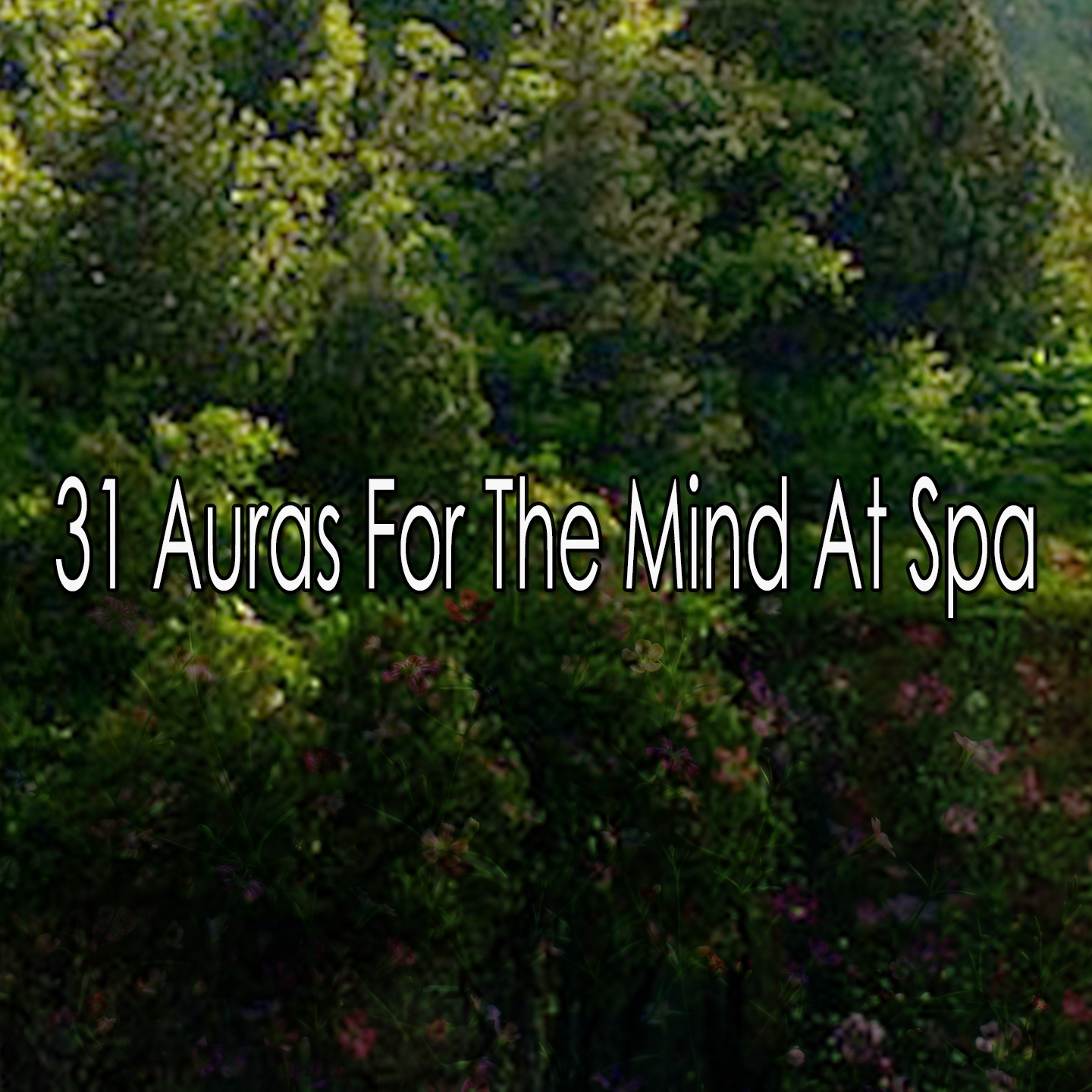 31 Auras For The Mind At Spa