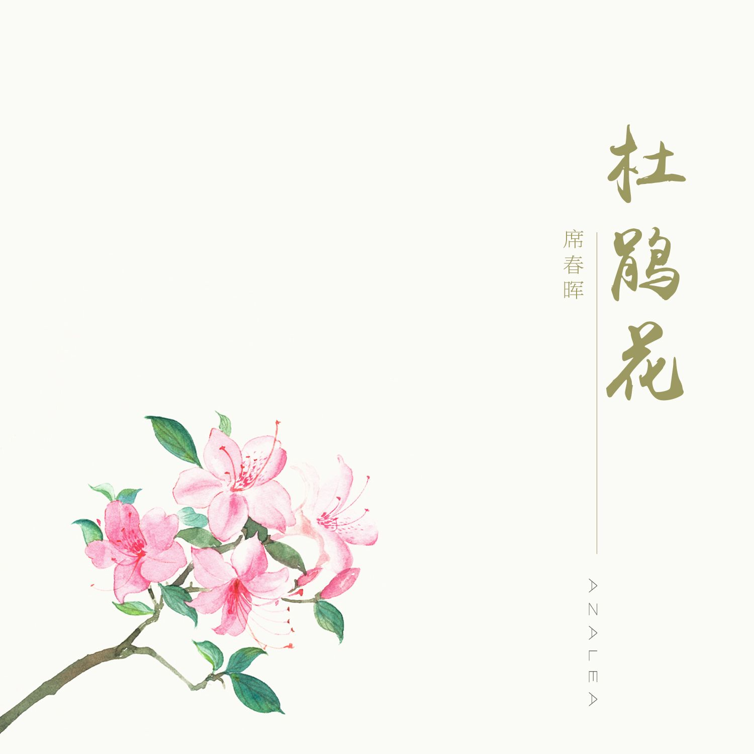 杜鹃花