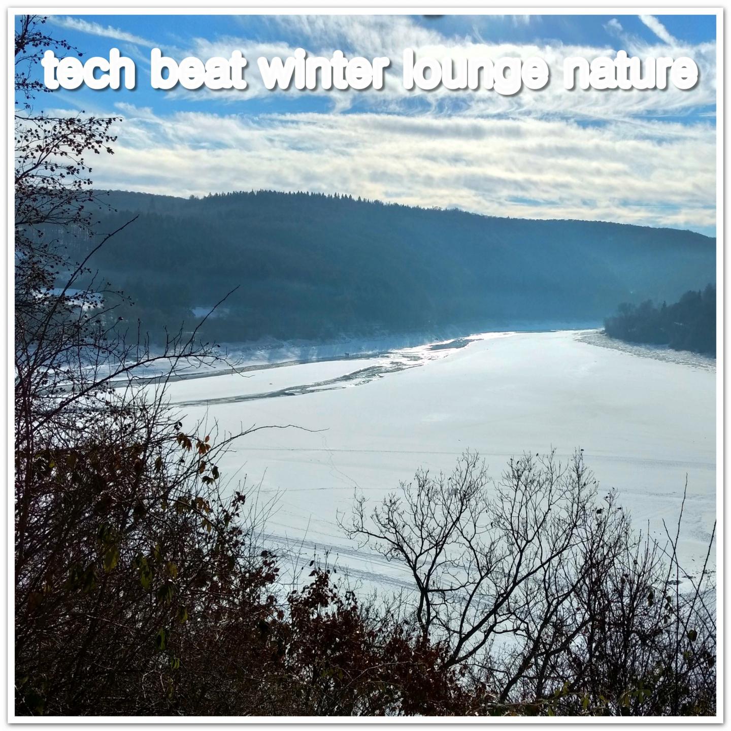tech beat winter lounge nature