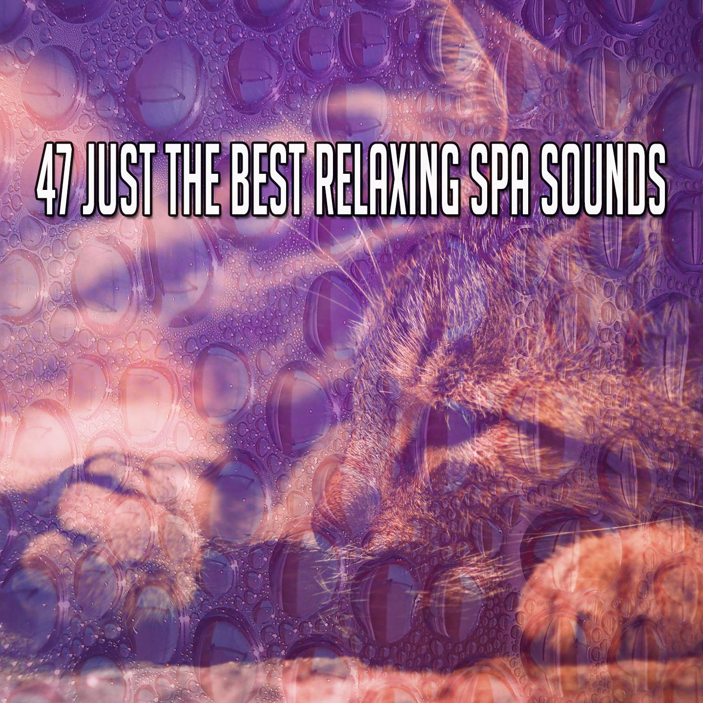 47 Just The Best Relaxing Spa Sounds