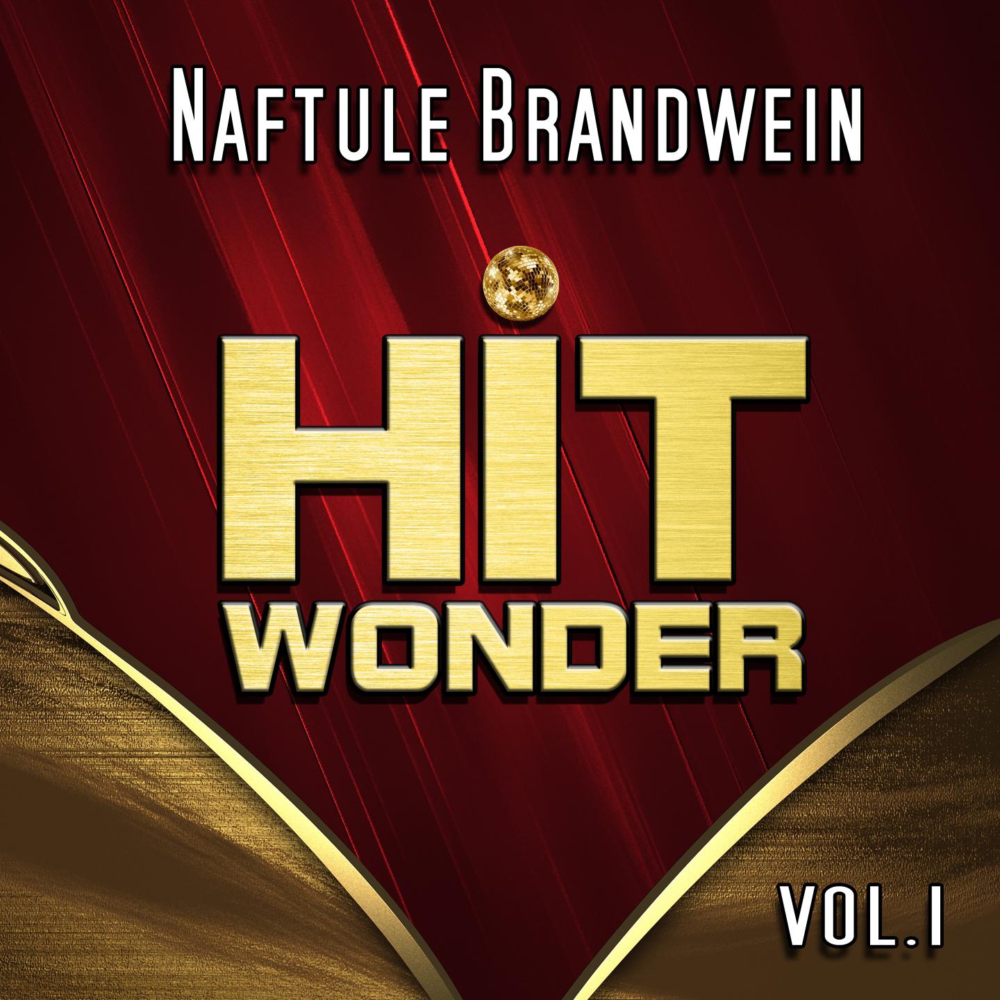 Hit Wonder: Naftule Brandwein, Vol.1