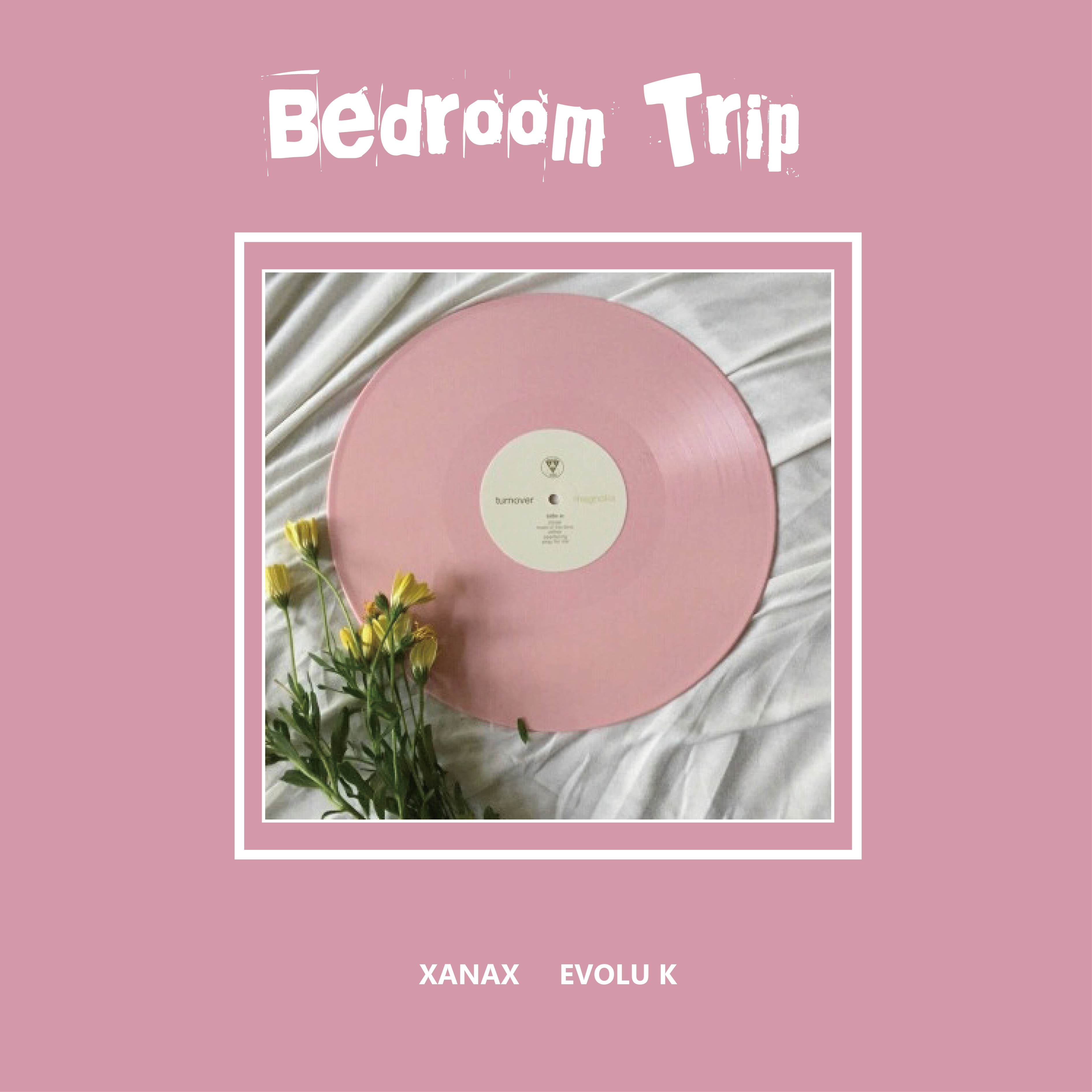 Bedroom Trip