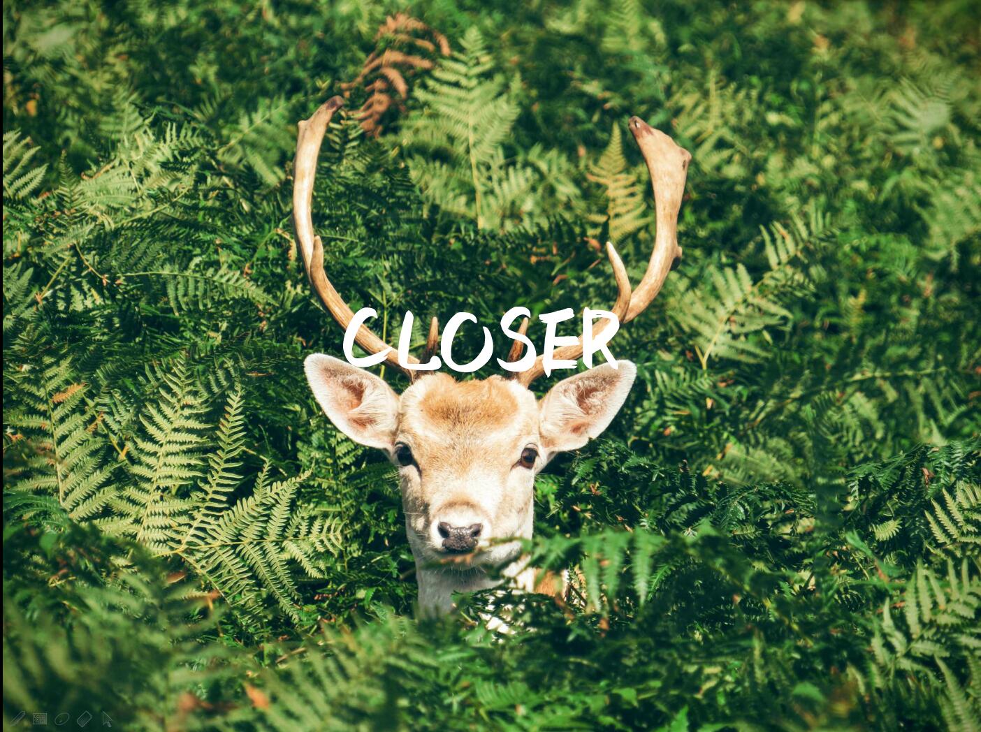 Closer（Tropical民乐remix）