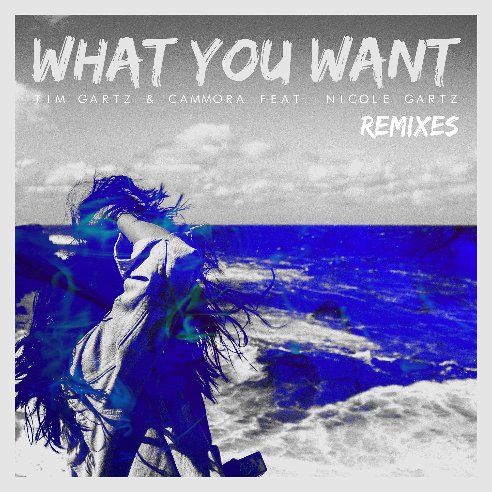 What You Want  (Remixes)