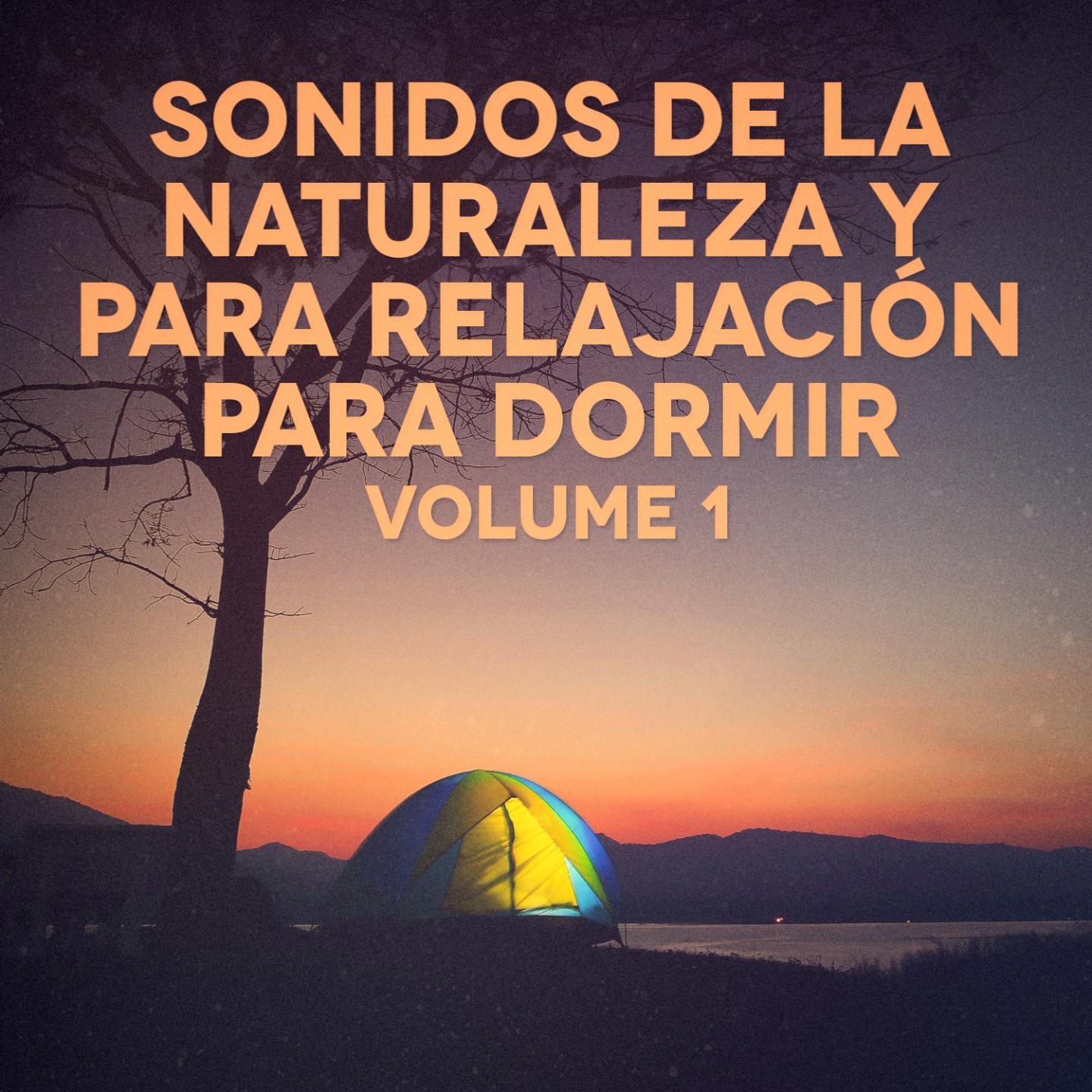 Sonidos Nocturnos de Tierra Desolada 1: Grillos, Saltamontes y Búhos