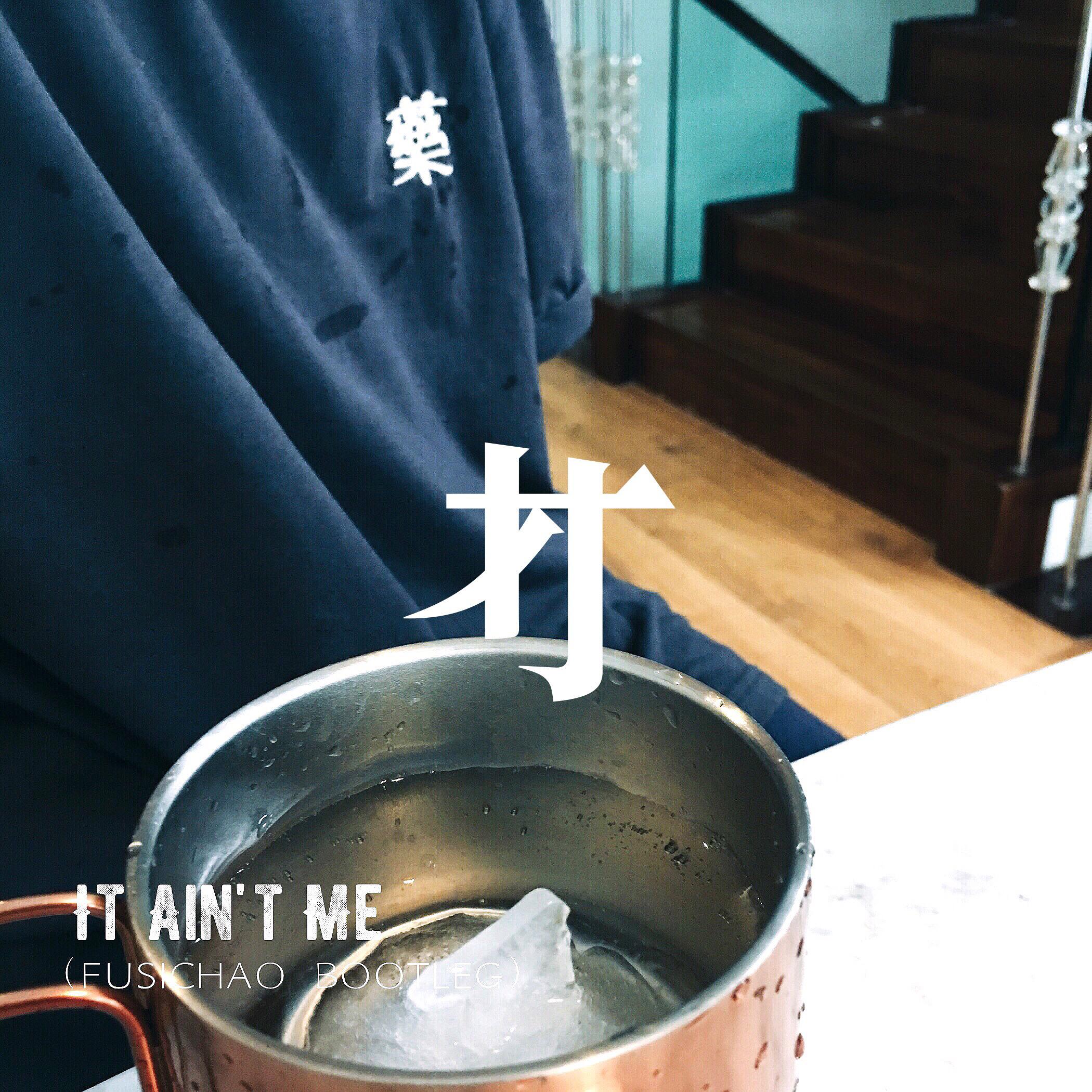 It Ain't Me (付思超 Bootleg)