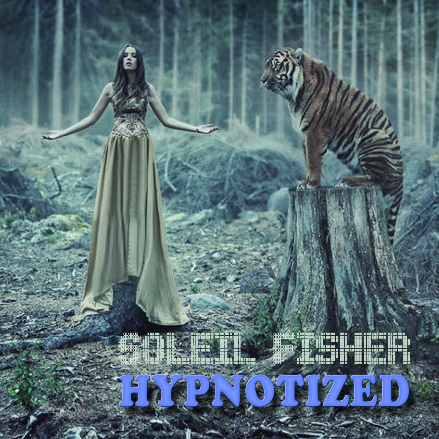 Hypnotized (Vocal Mix)