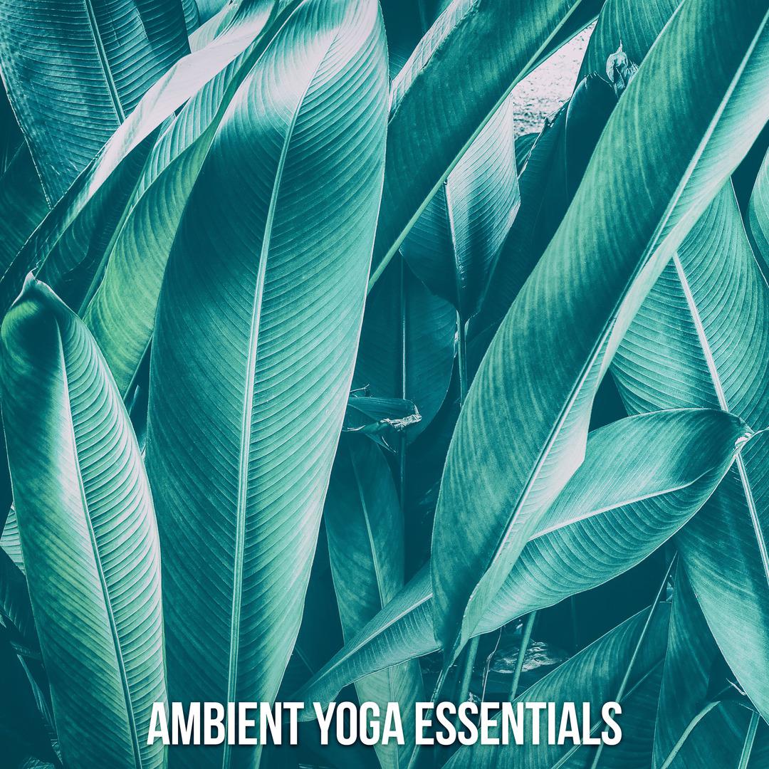 Ambient Yoga Essentials