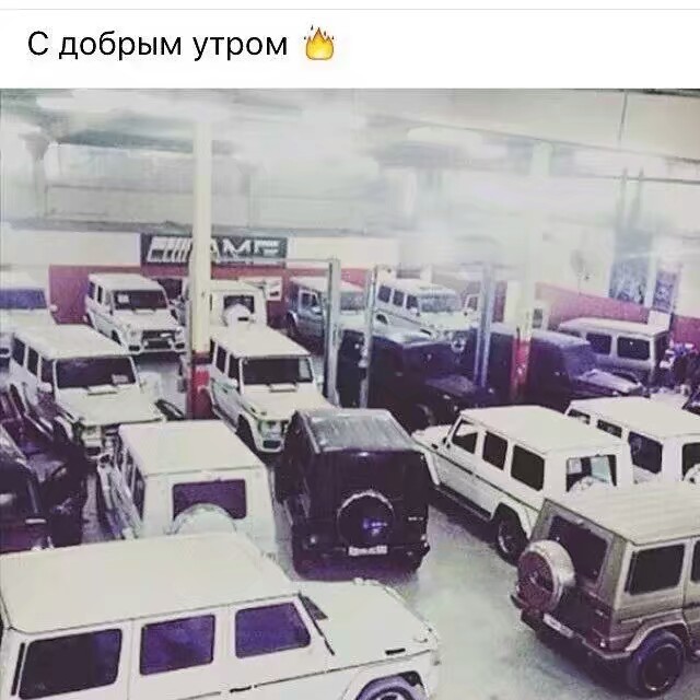 Живая мишень