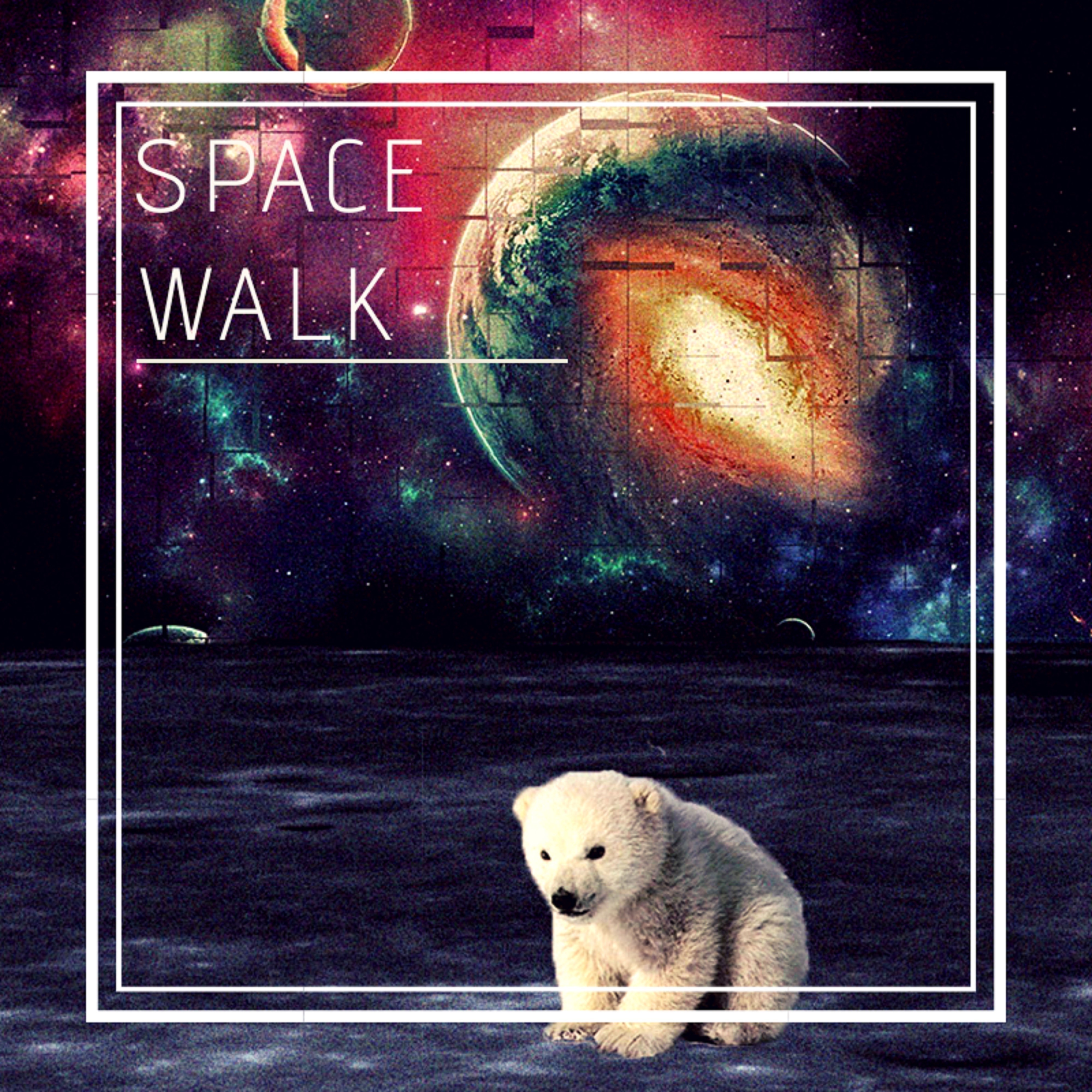 Space Walk