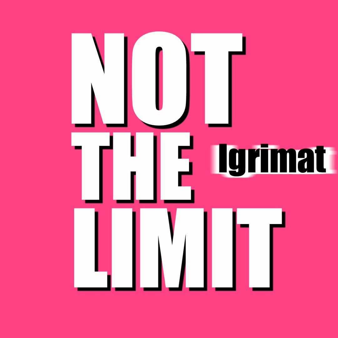 Not the Limit (Original Mix)