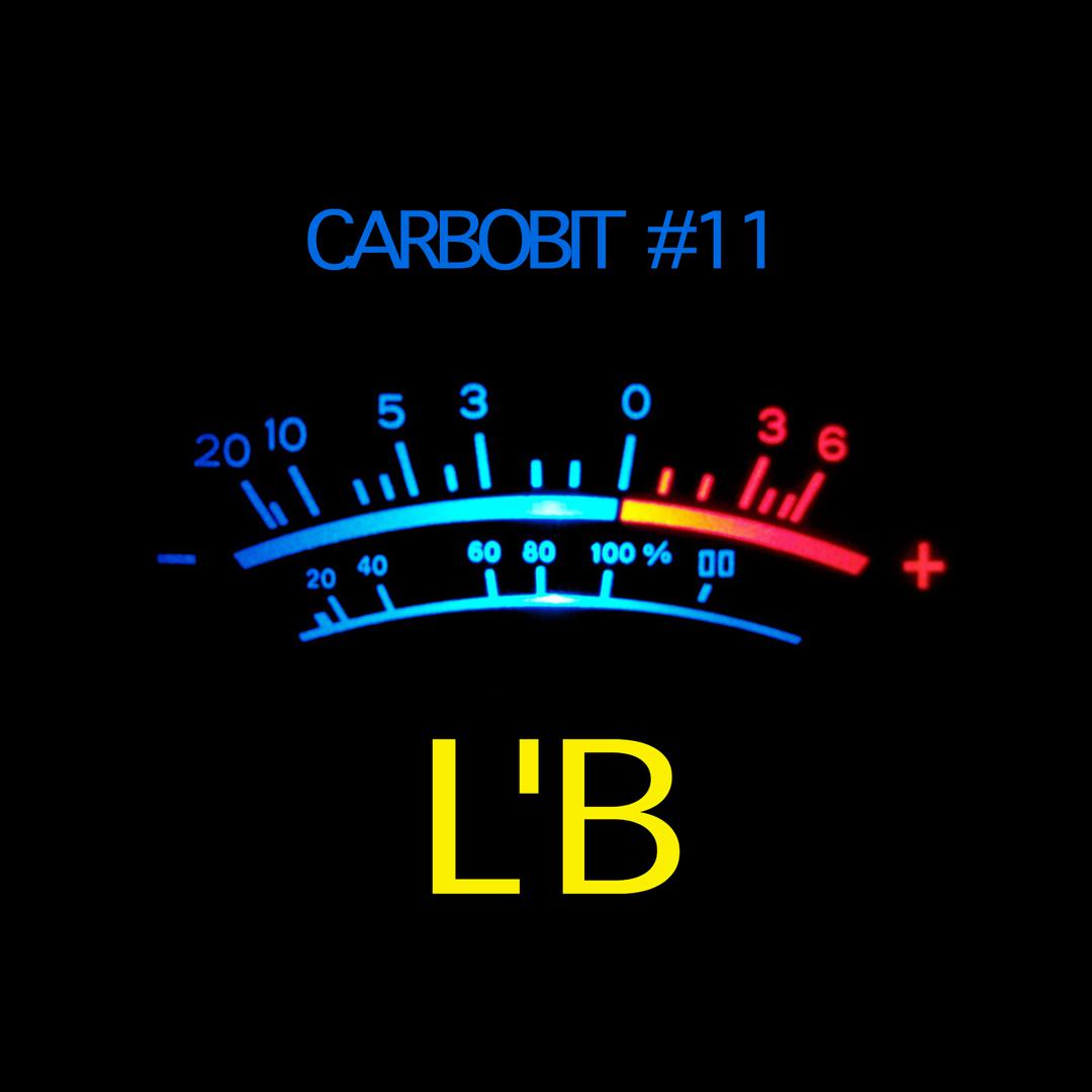 CarboBit #11