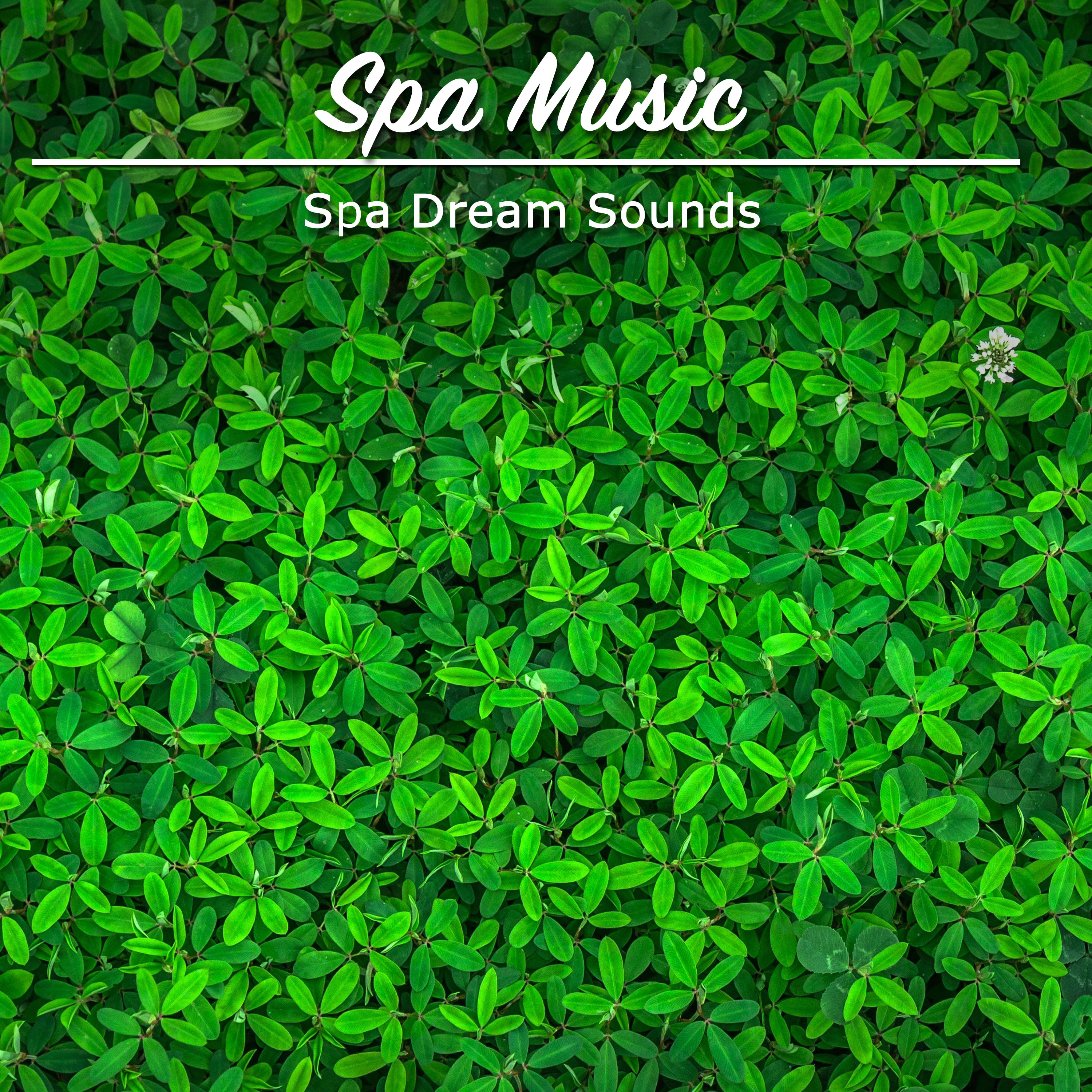 2018 Spa Music Collection: Spa Dream Sounds