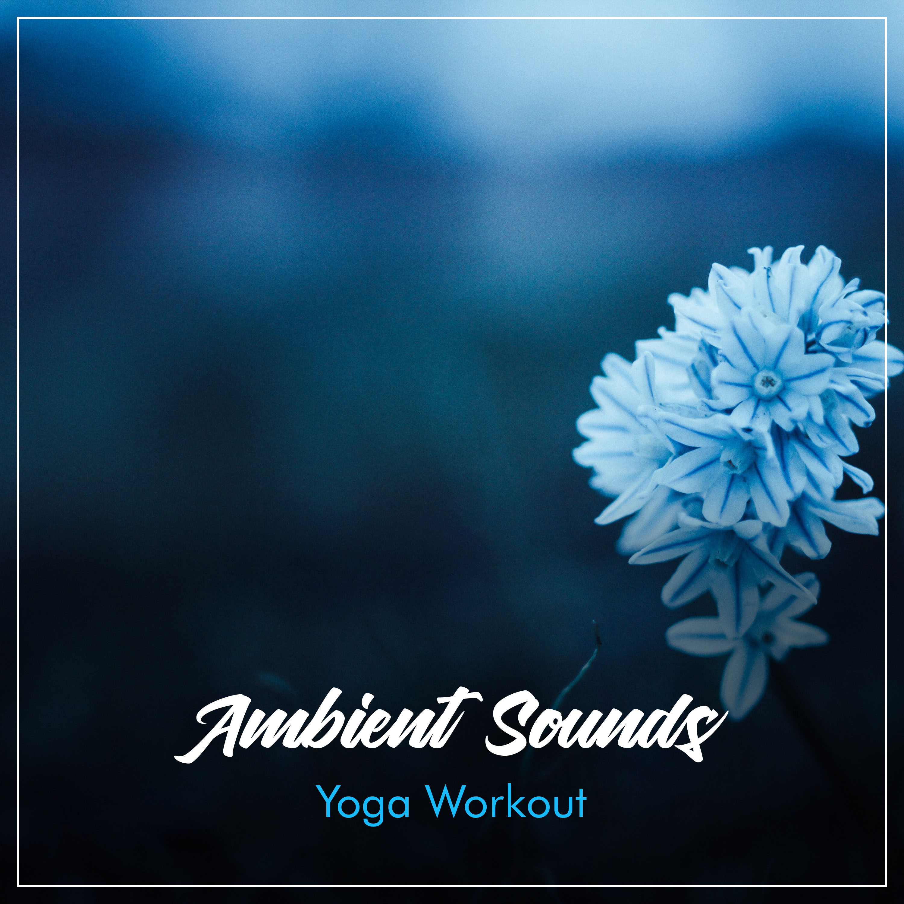 19 Loopable Ambient Sounds for Yoga Workout