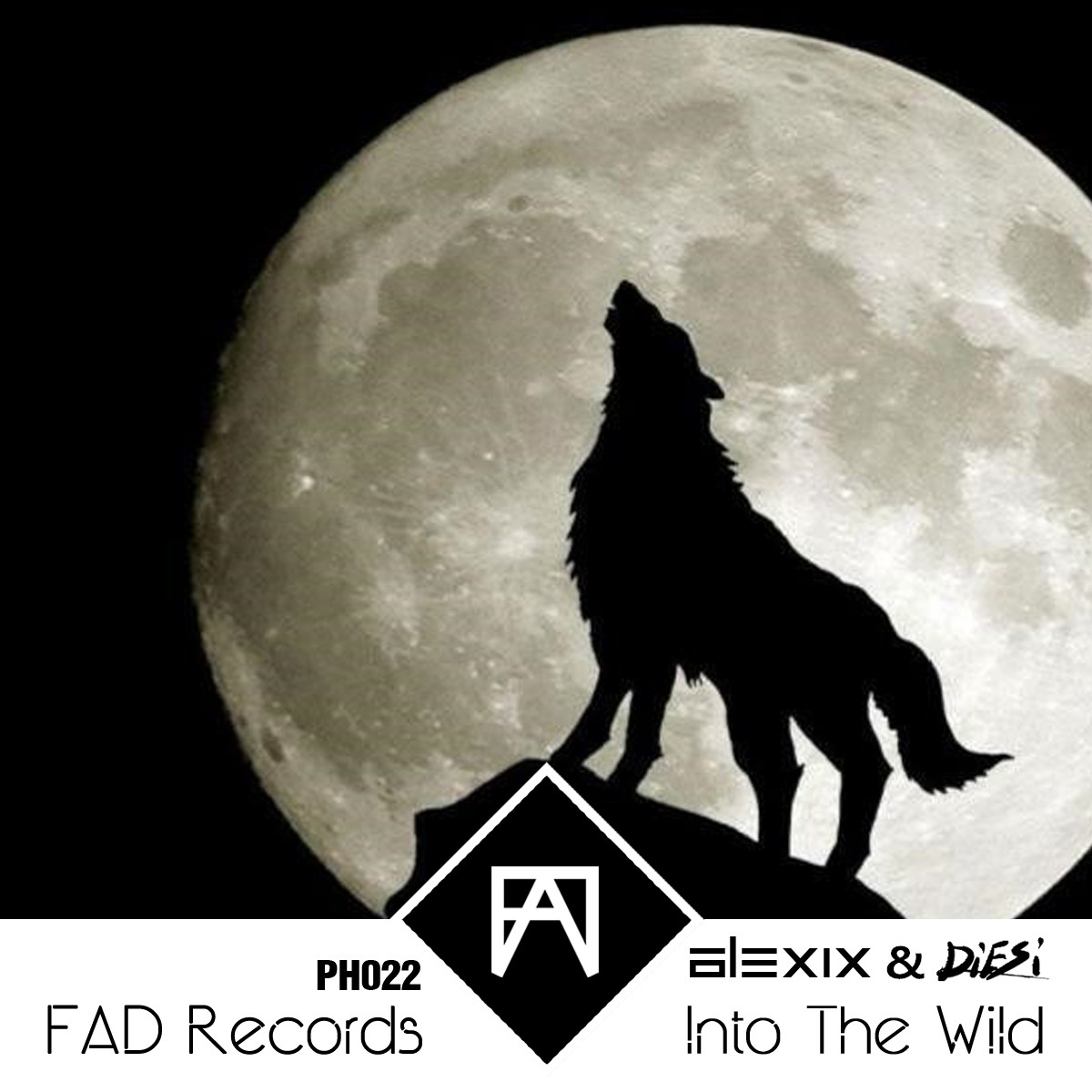 Into The Wild (Original Mix)