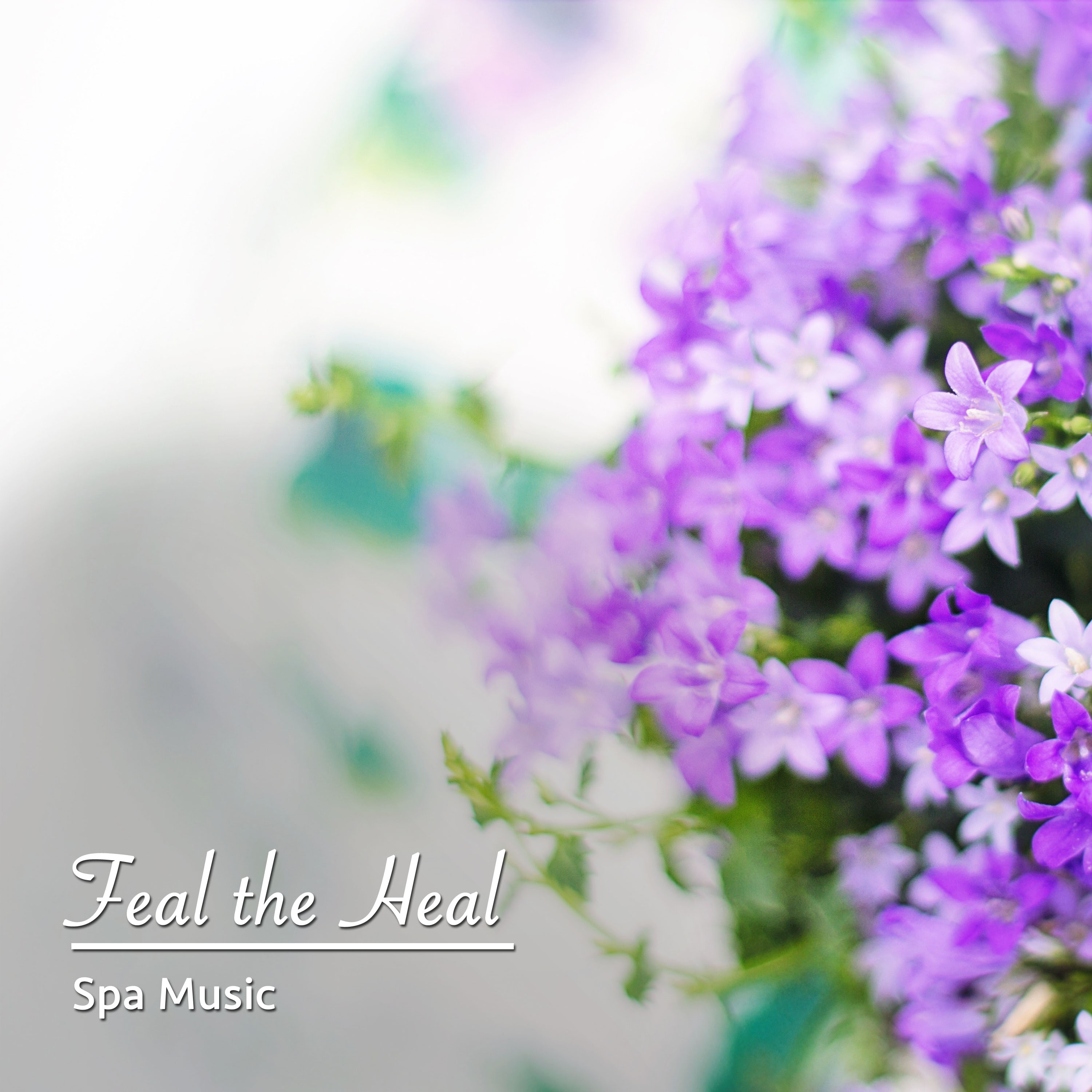 14 Feel the Heal with Spa Music
