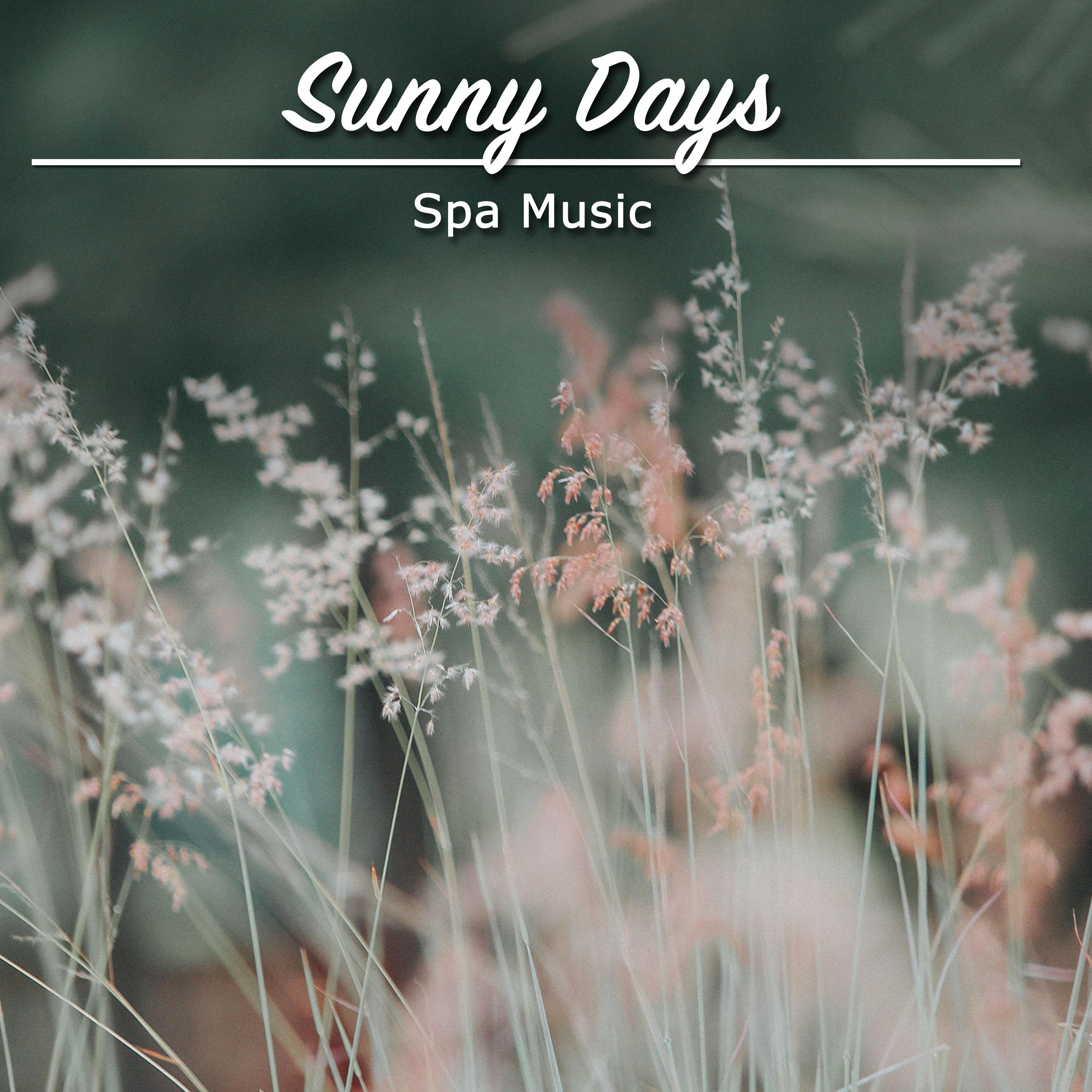 17 Sunny Days Spa Music Paradise Collection