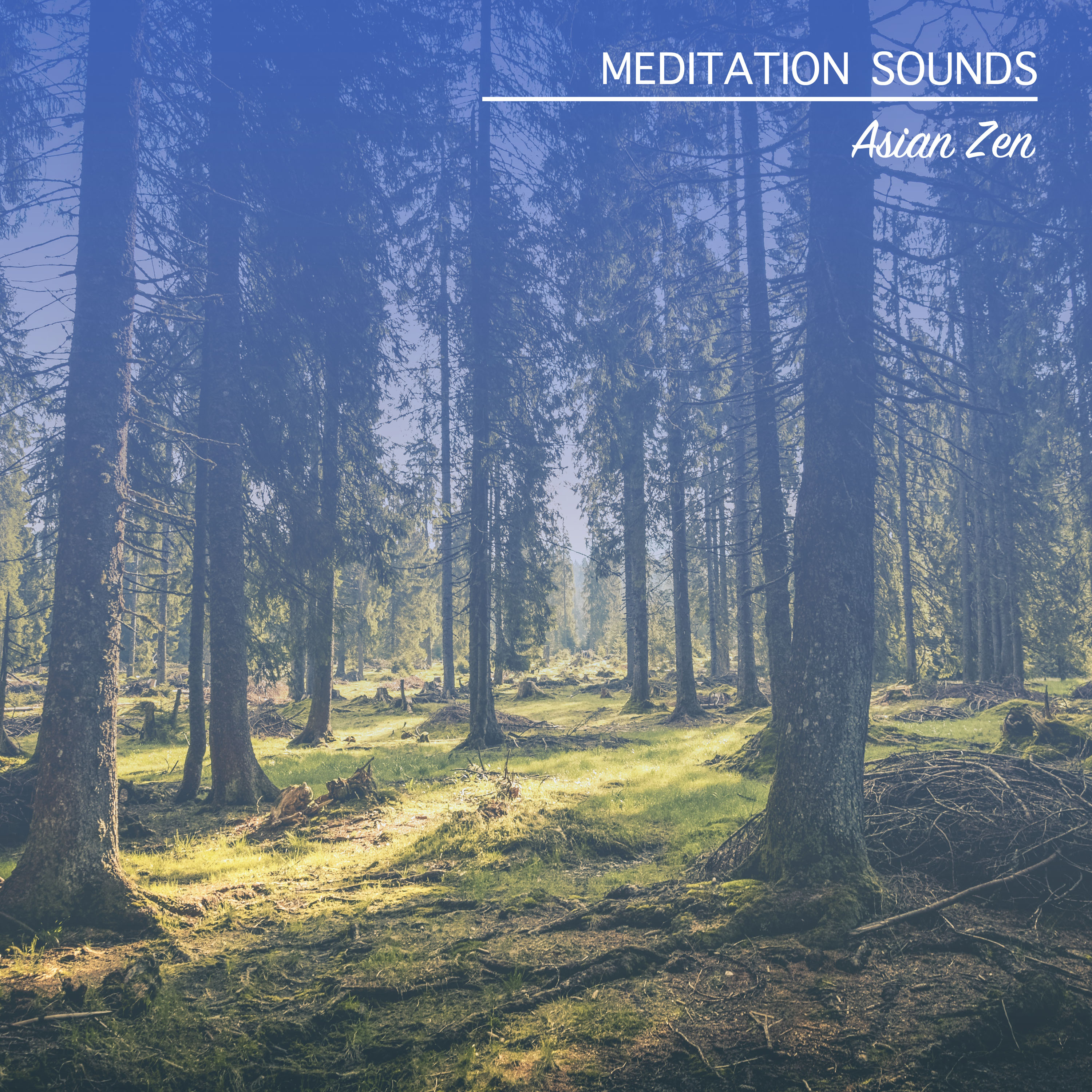 19 Meditation Sounds: Music from Asian Zen