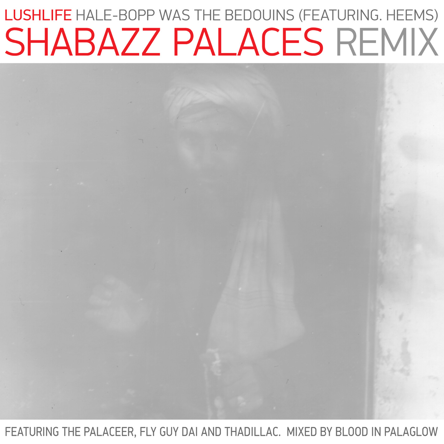 Hale-Bopp Was the Bedouins (feat. Heems) [Shabazz Palaces Remix]