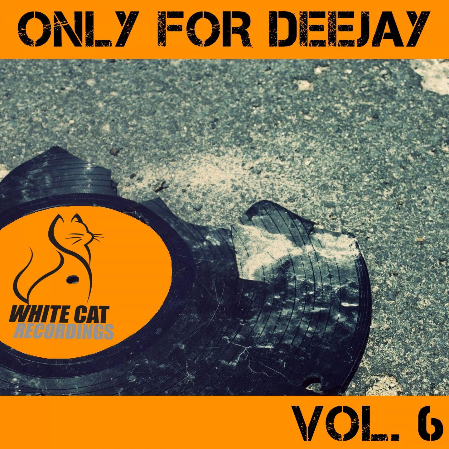 Only for Deejay Vol 6