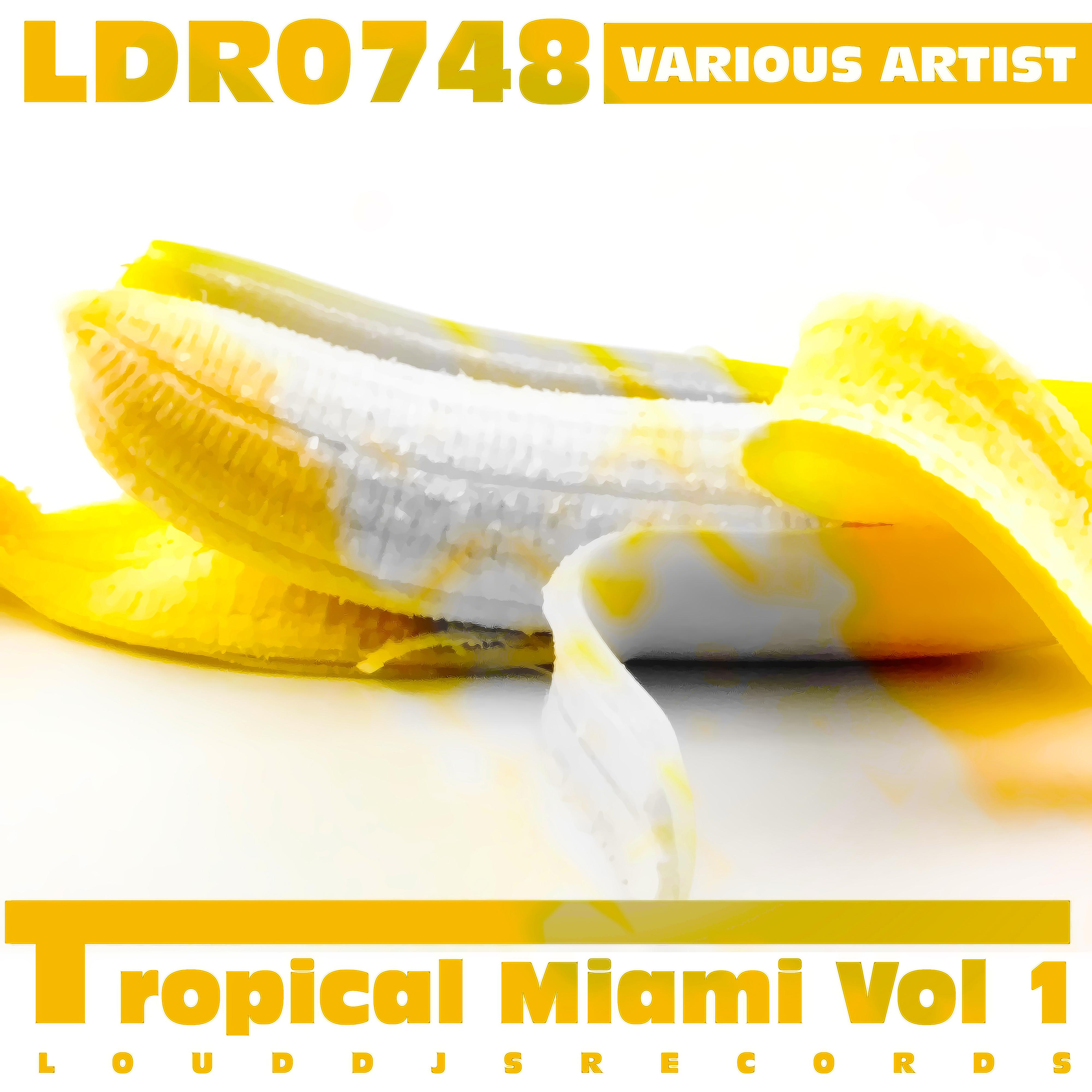 Tropical Miami, Vol. 1