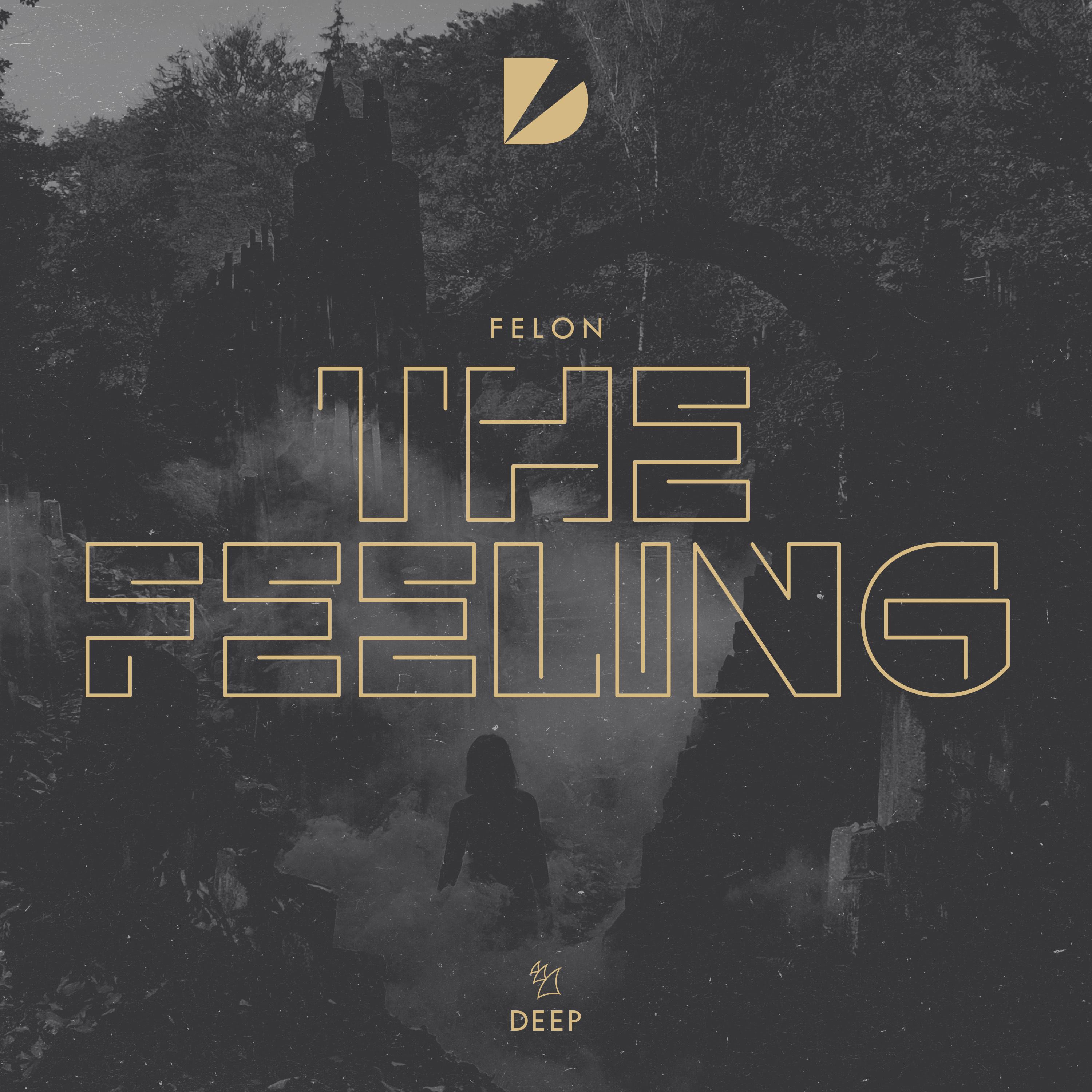 The Feeling (Extended Mix)