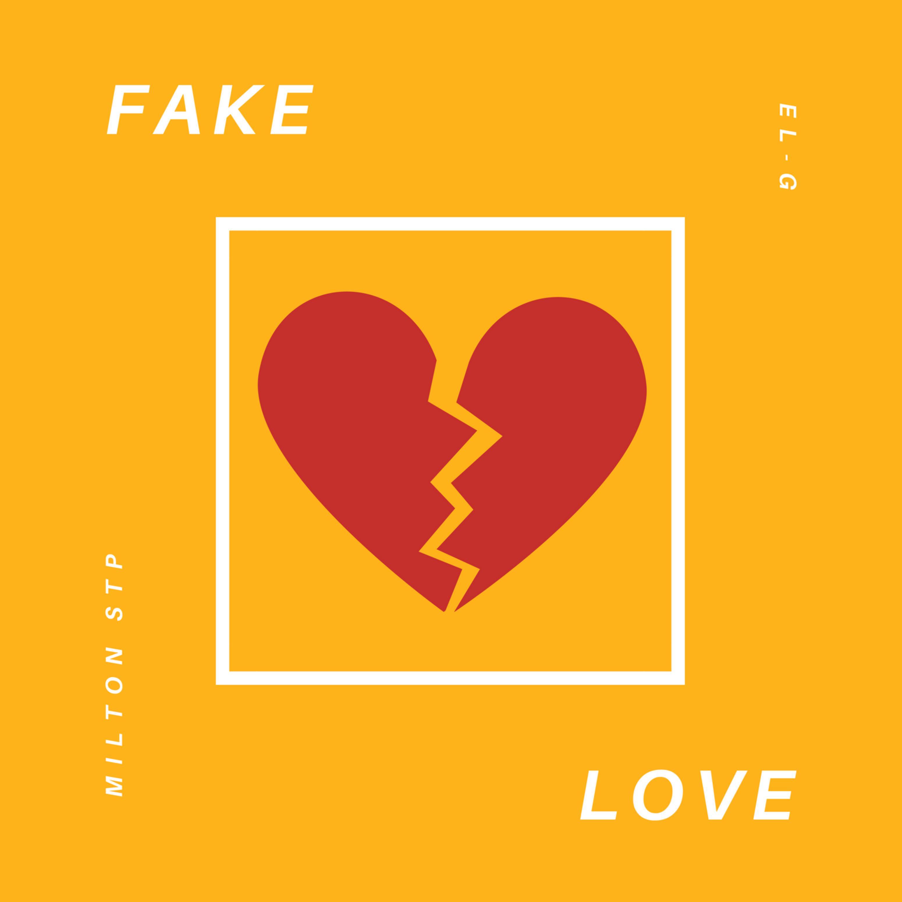 Fake Love