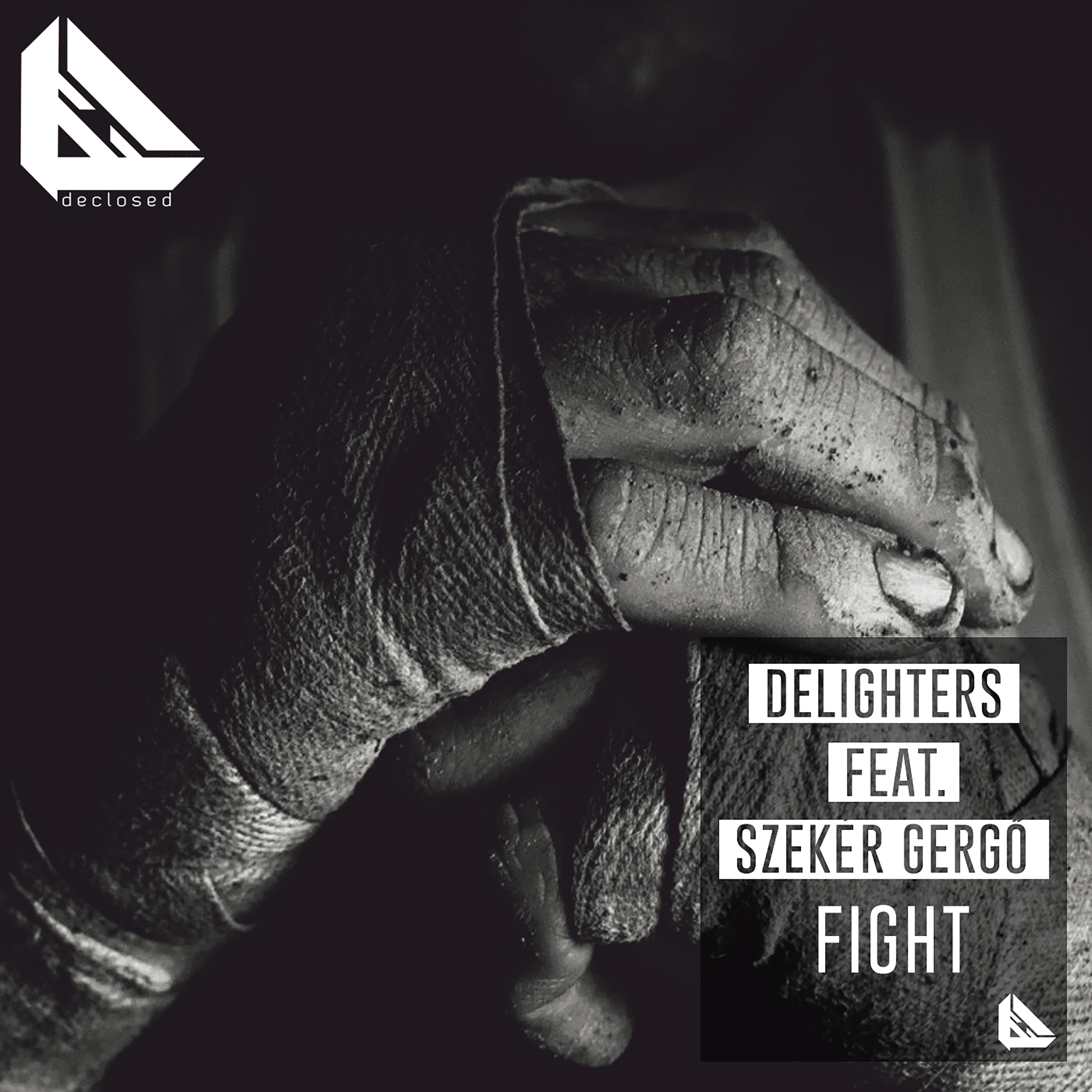 Fight (Levi Da Cruz Remix)