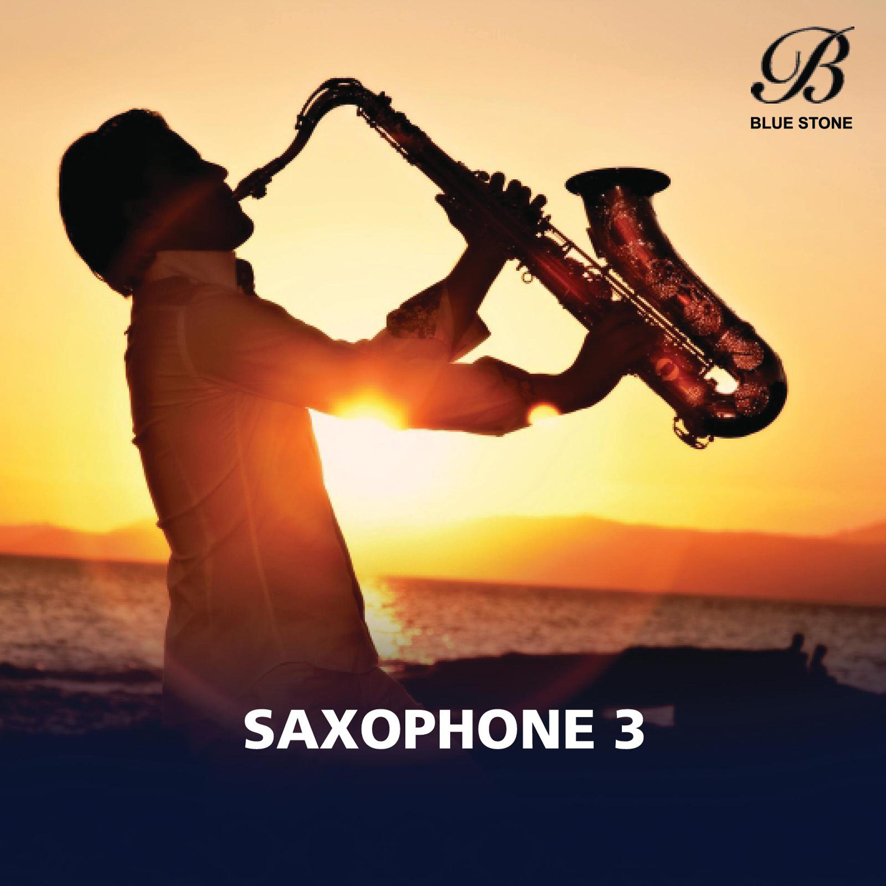 Saxophone, Vol. 3 (Live)