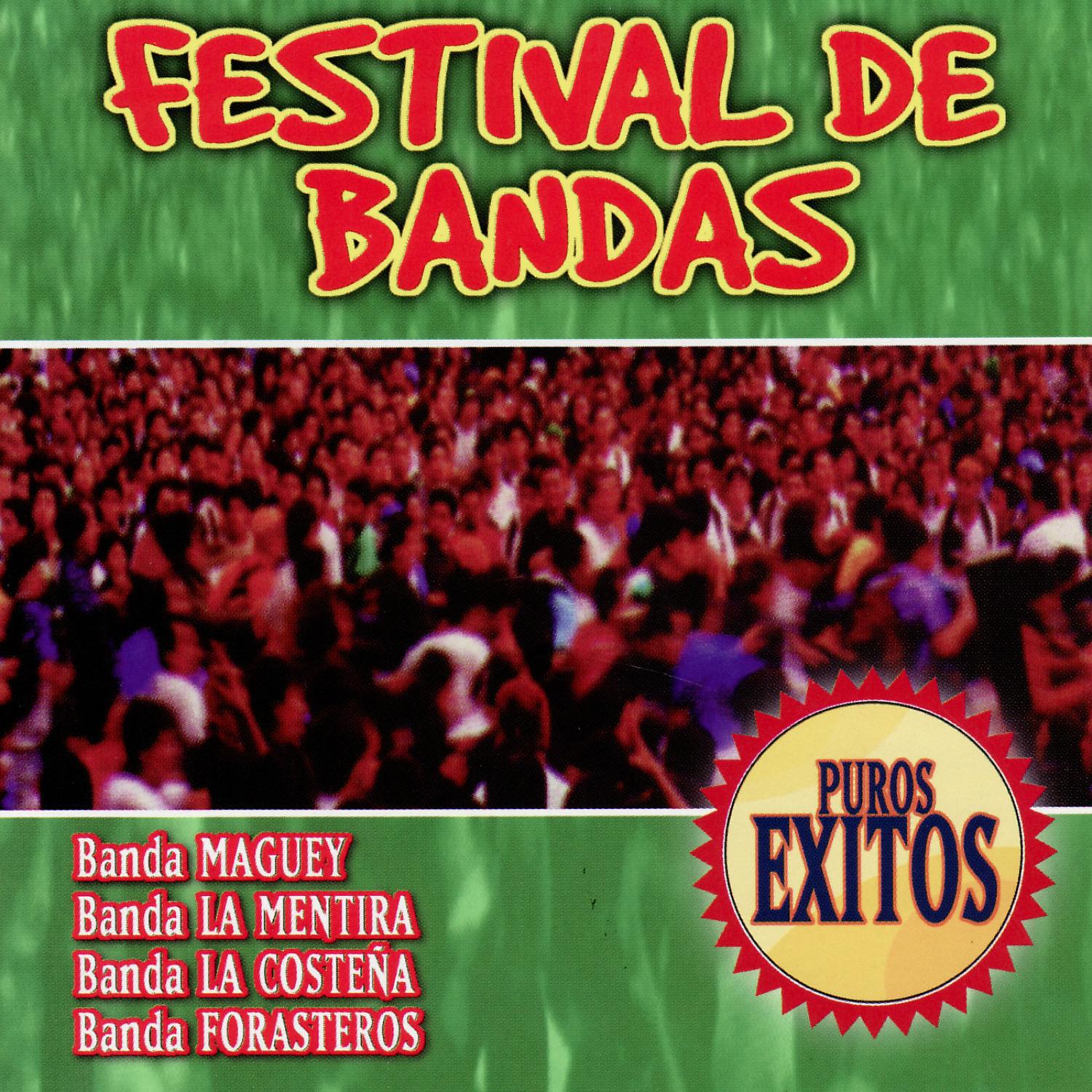 Festival De Bandas