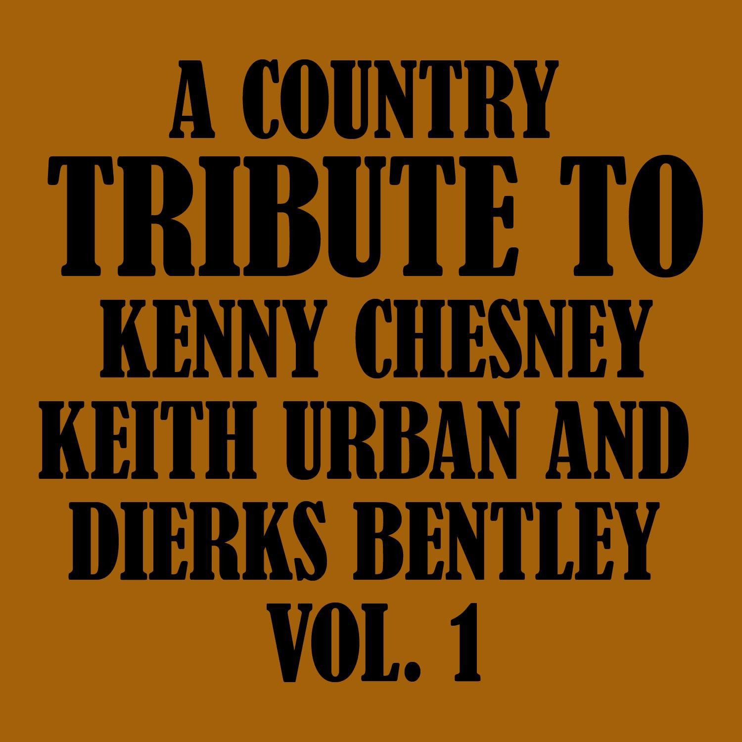 A Country Tribute to Kenny Chesney, Keith Urban and Dierks Bentley Vol. 1