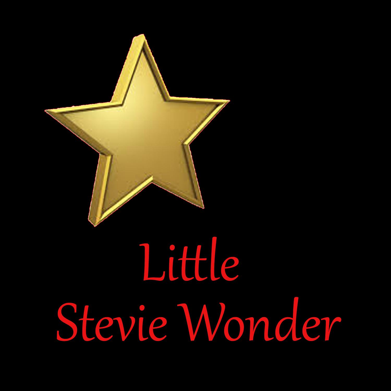 Little Stevie Wonder