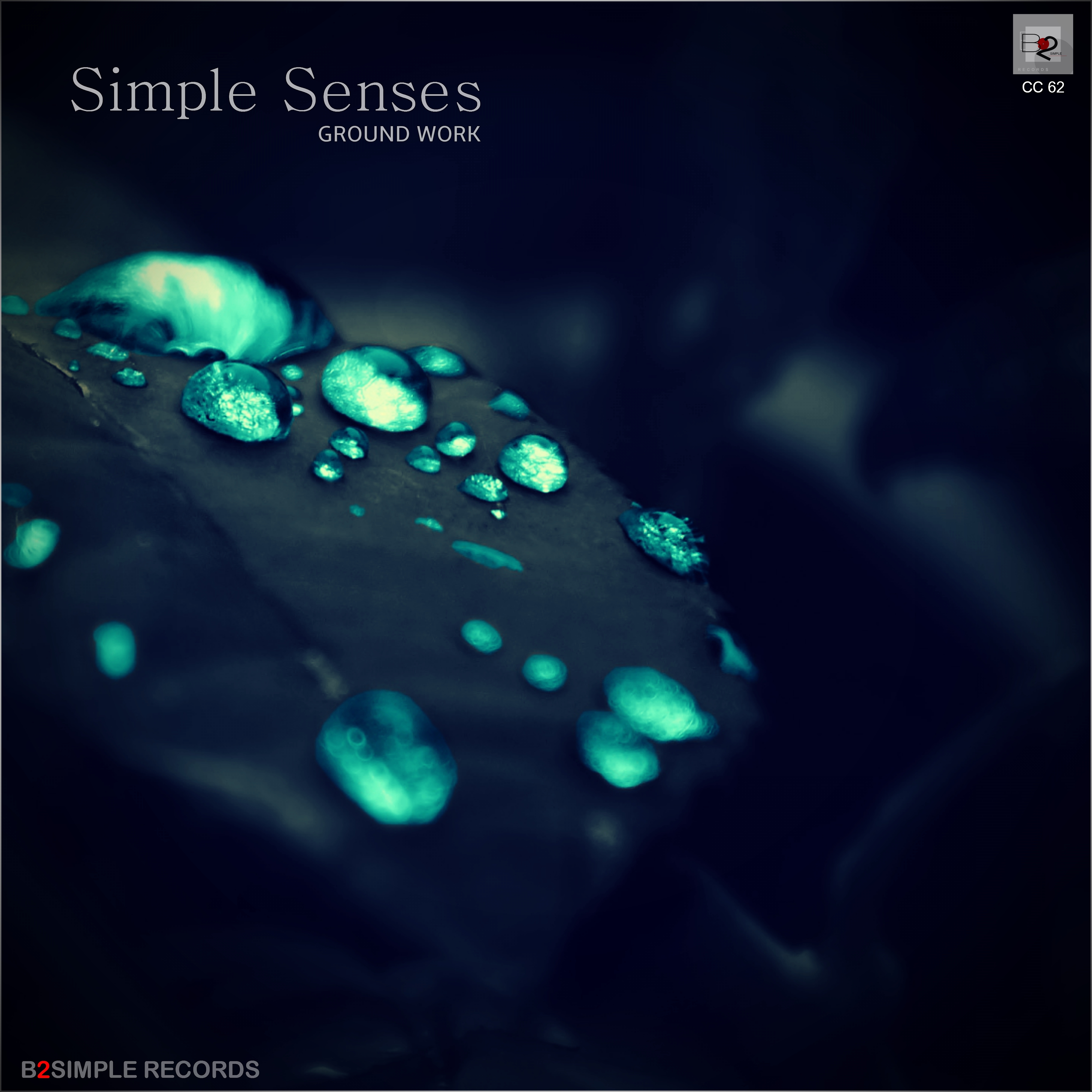 Simple Senses