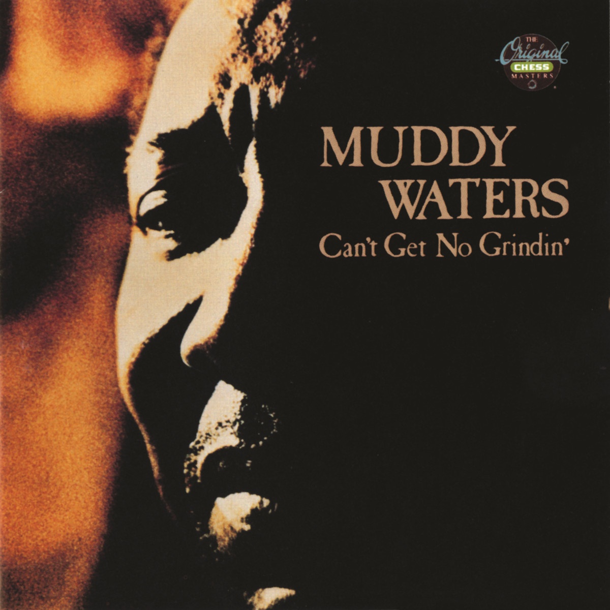 Muddy Waters' Shuffle