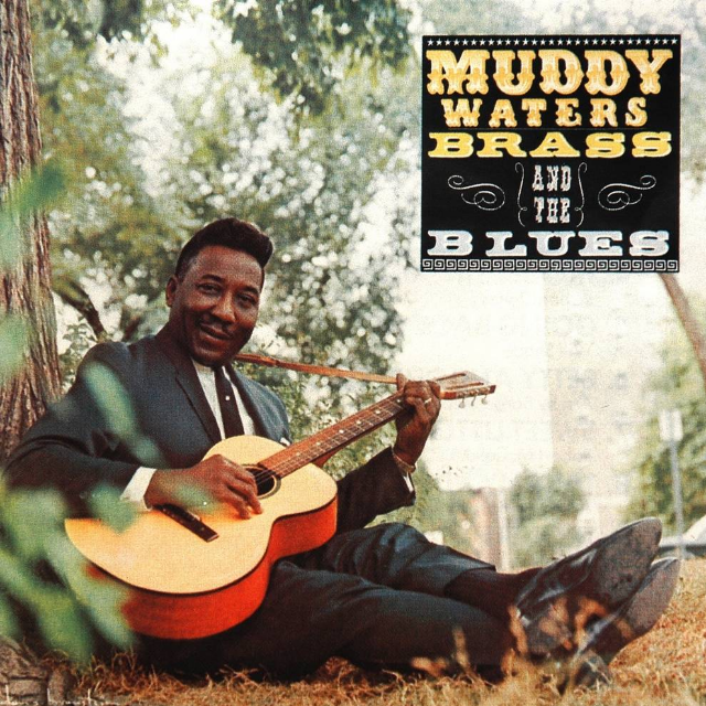 Muddy, Brass And The Blues