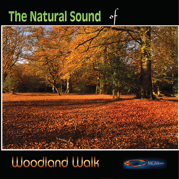 Natural Sound Series - Woodland Walk