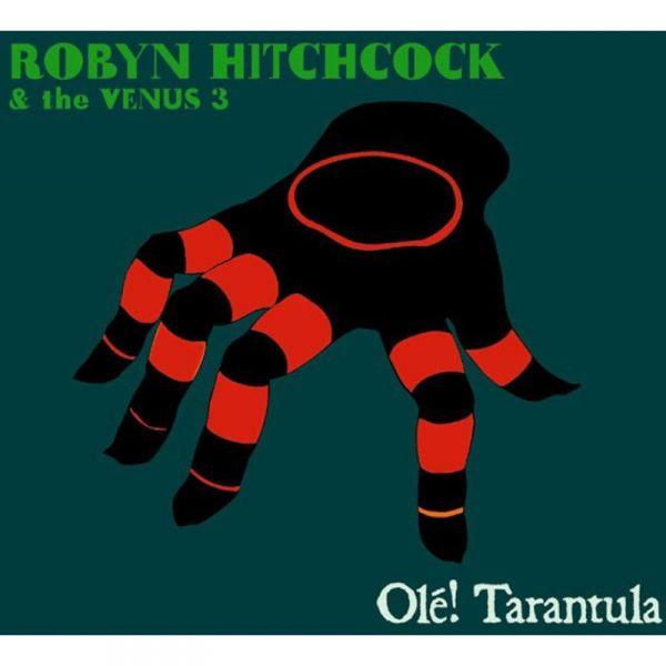 Olé! Tarantula