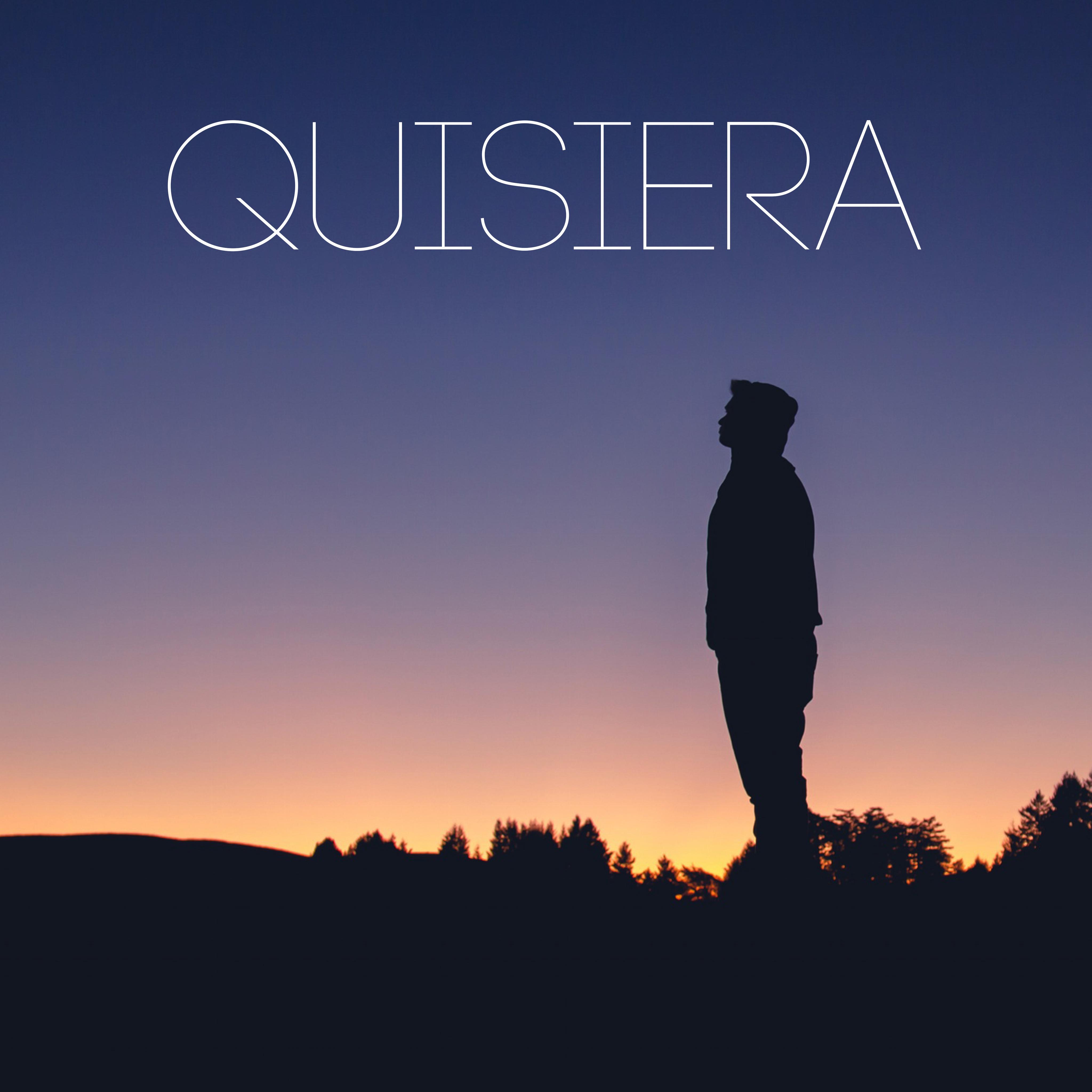 Quisiera