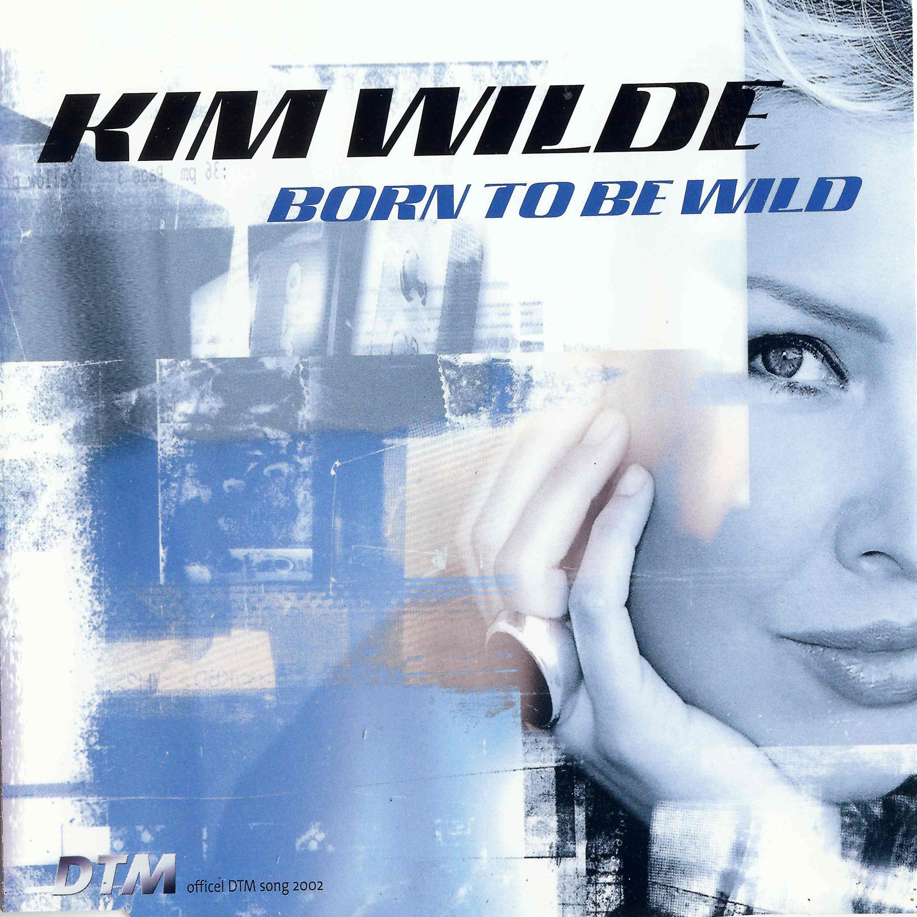 Born to Be Wild (Chillout Mix)