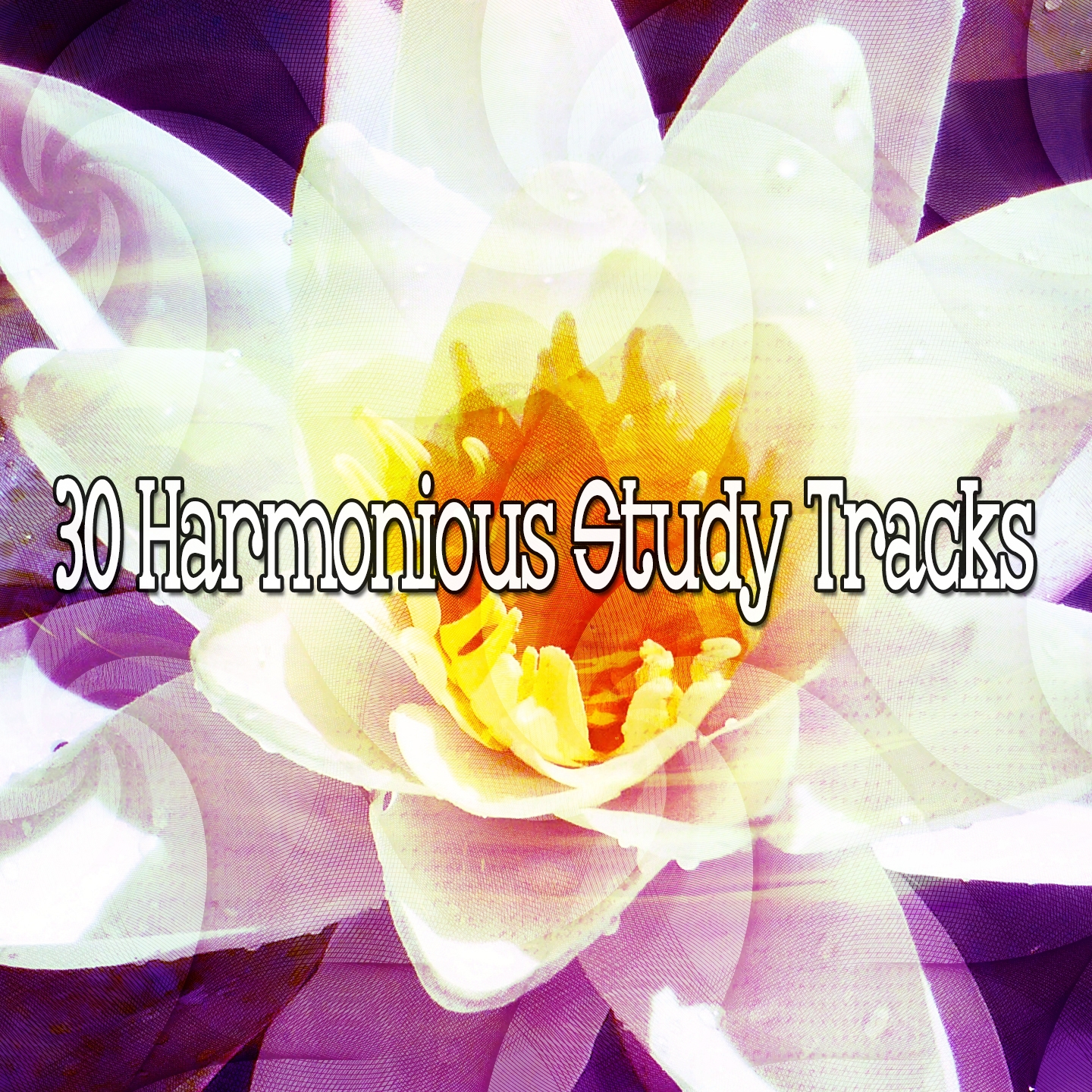 30 Harmonious Study Tracks